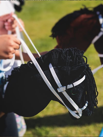 RS-Shopbanner-Hobby-Horse