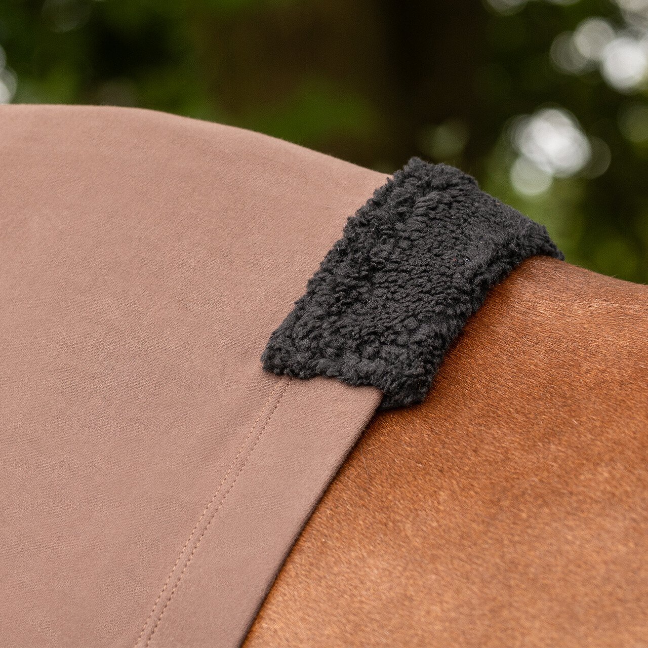 QHP Halsteil Ekzem - braun