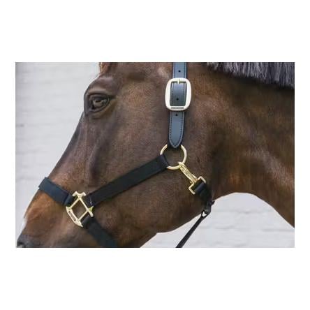 Nylon Halfter Breakaway Nylon Halfter Breakaway