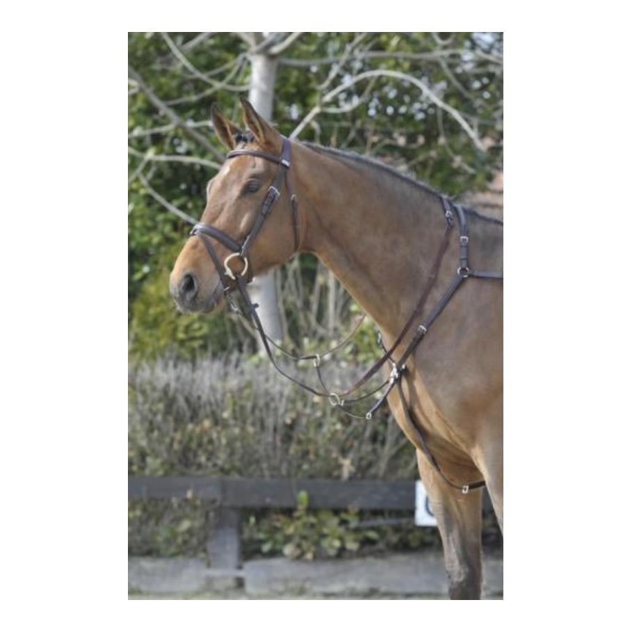 Vorderzeug Sidefit mit separat verschnallbarer Martingalgabel - schwarz/schwarz