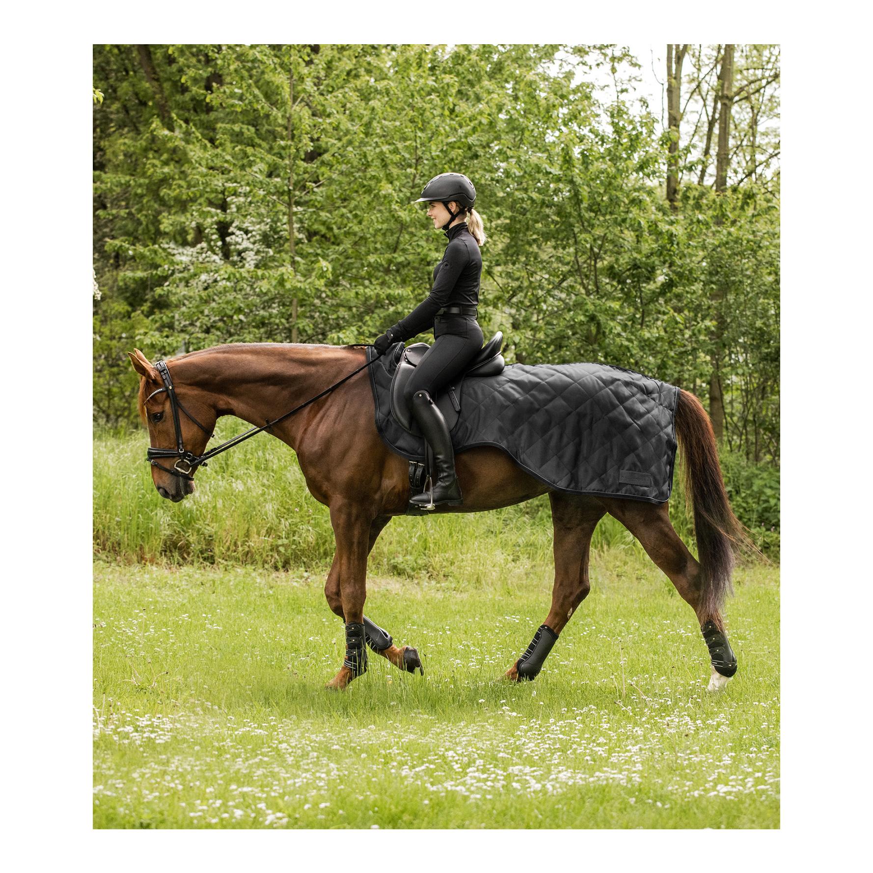 Waldhausen Nierendecke Exclusive