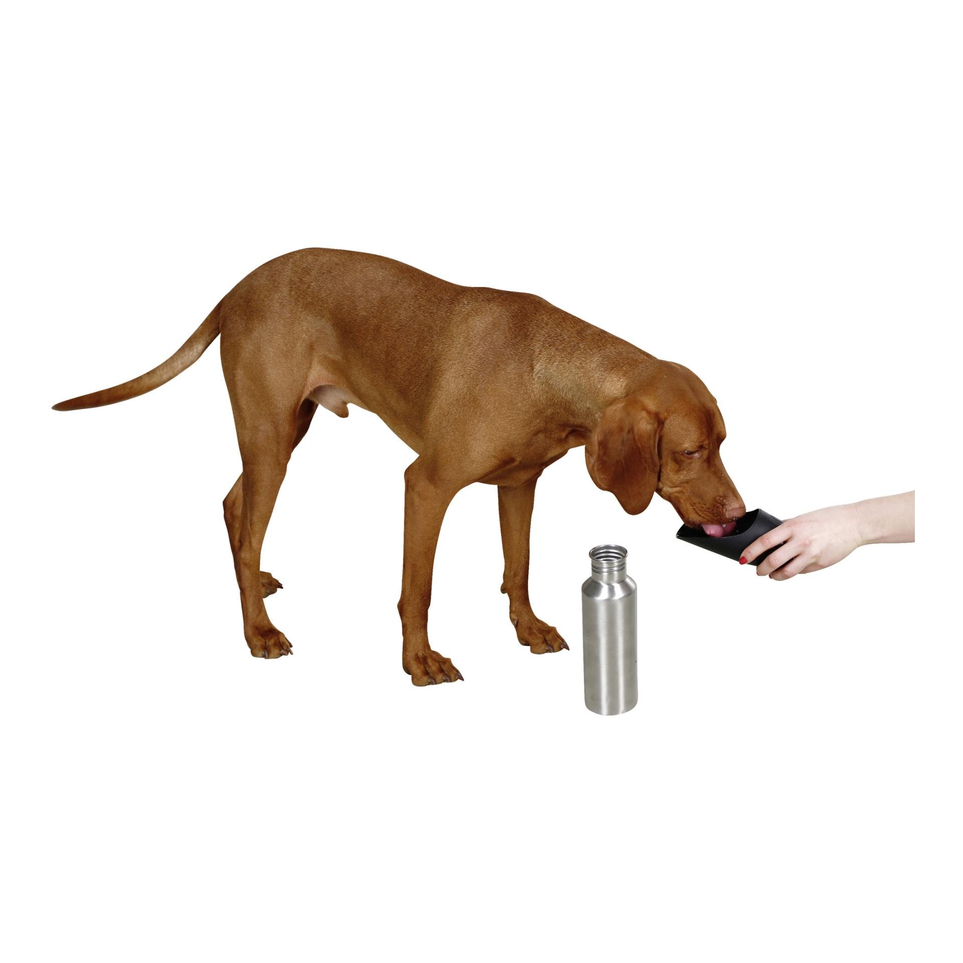 Bouteille de voyage en acier inoxydable avec gobelet - 750 ml