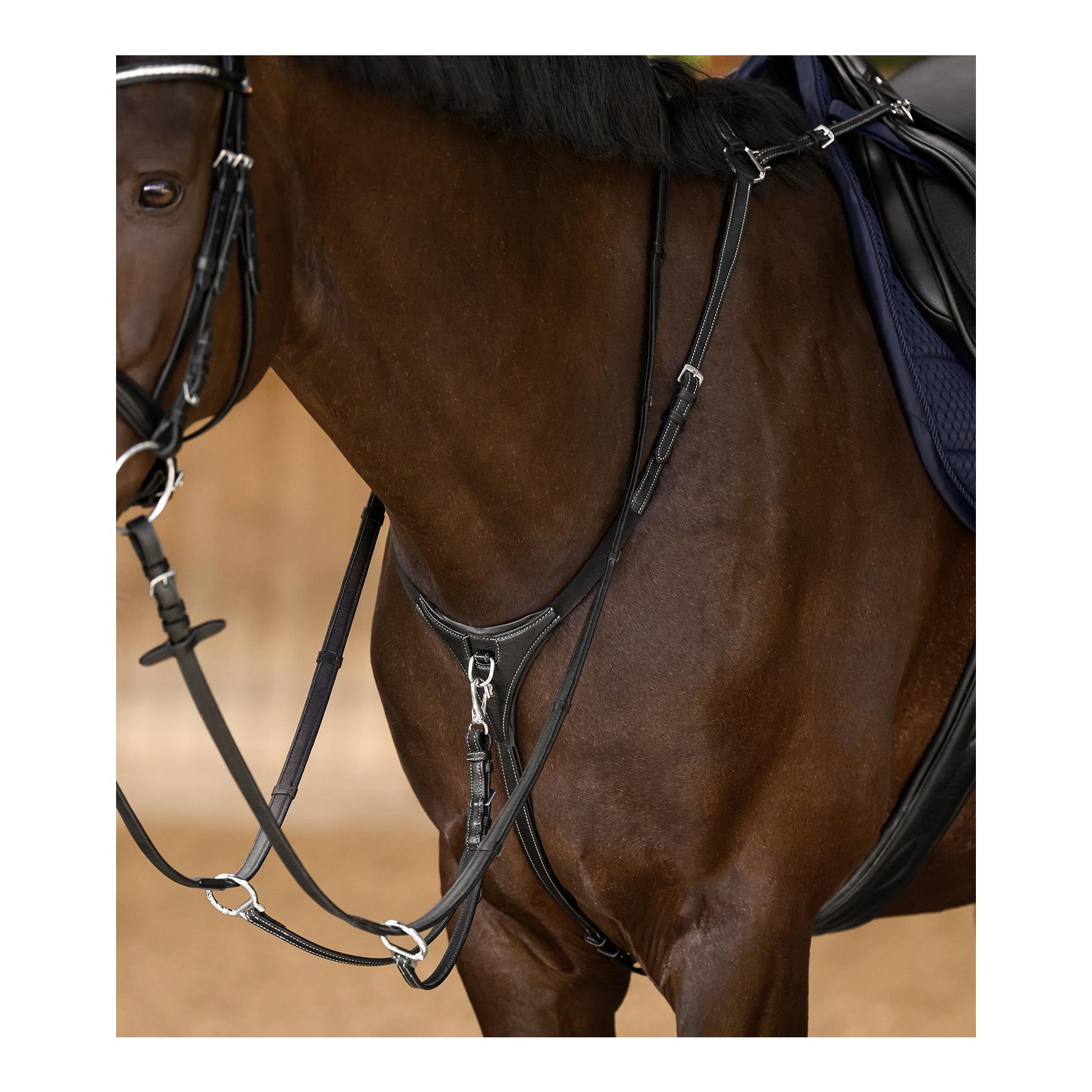 Waldhausen X-Line Vorderzeug Work