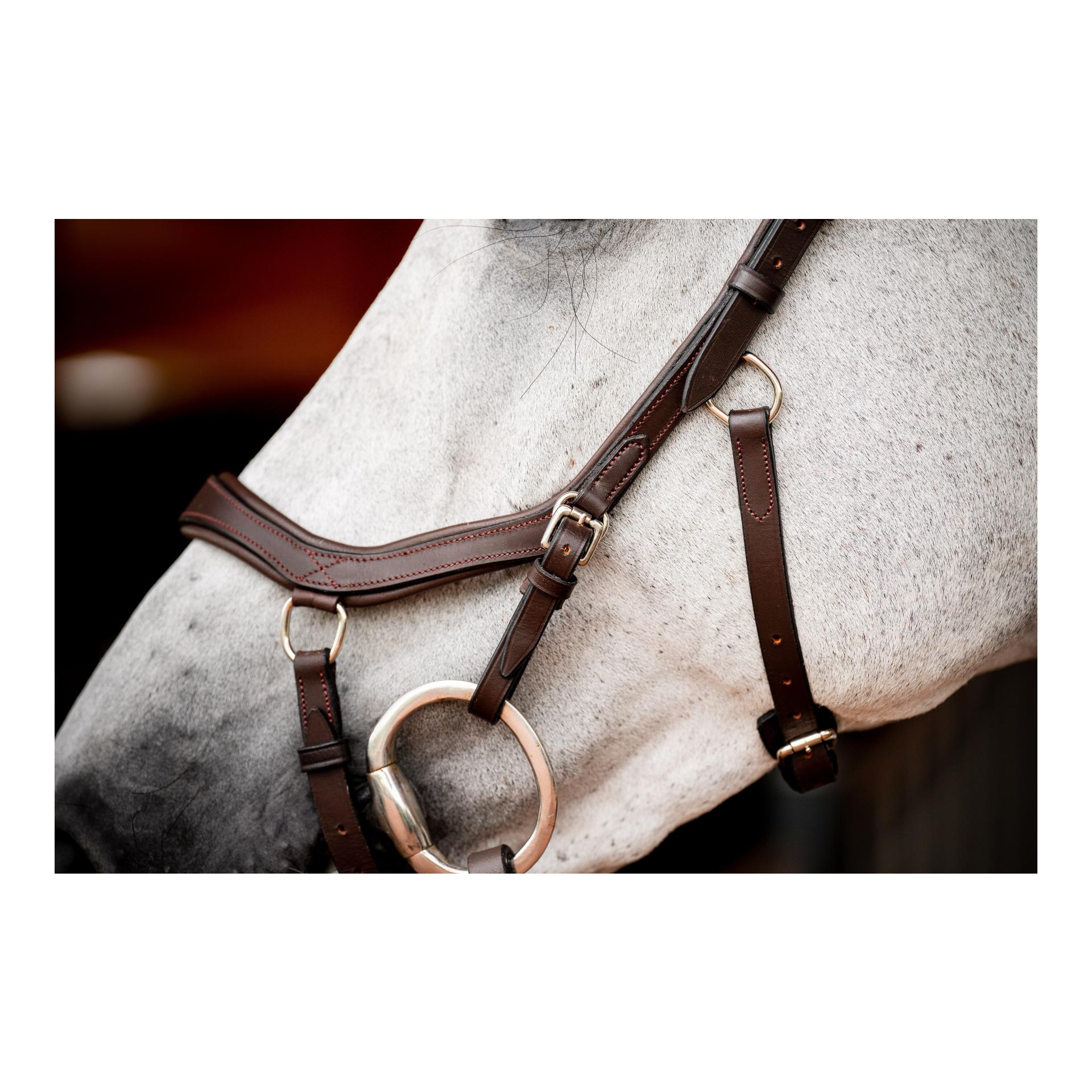 Zaum Micklem3 Competiton ohne Zügel