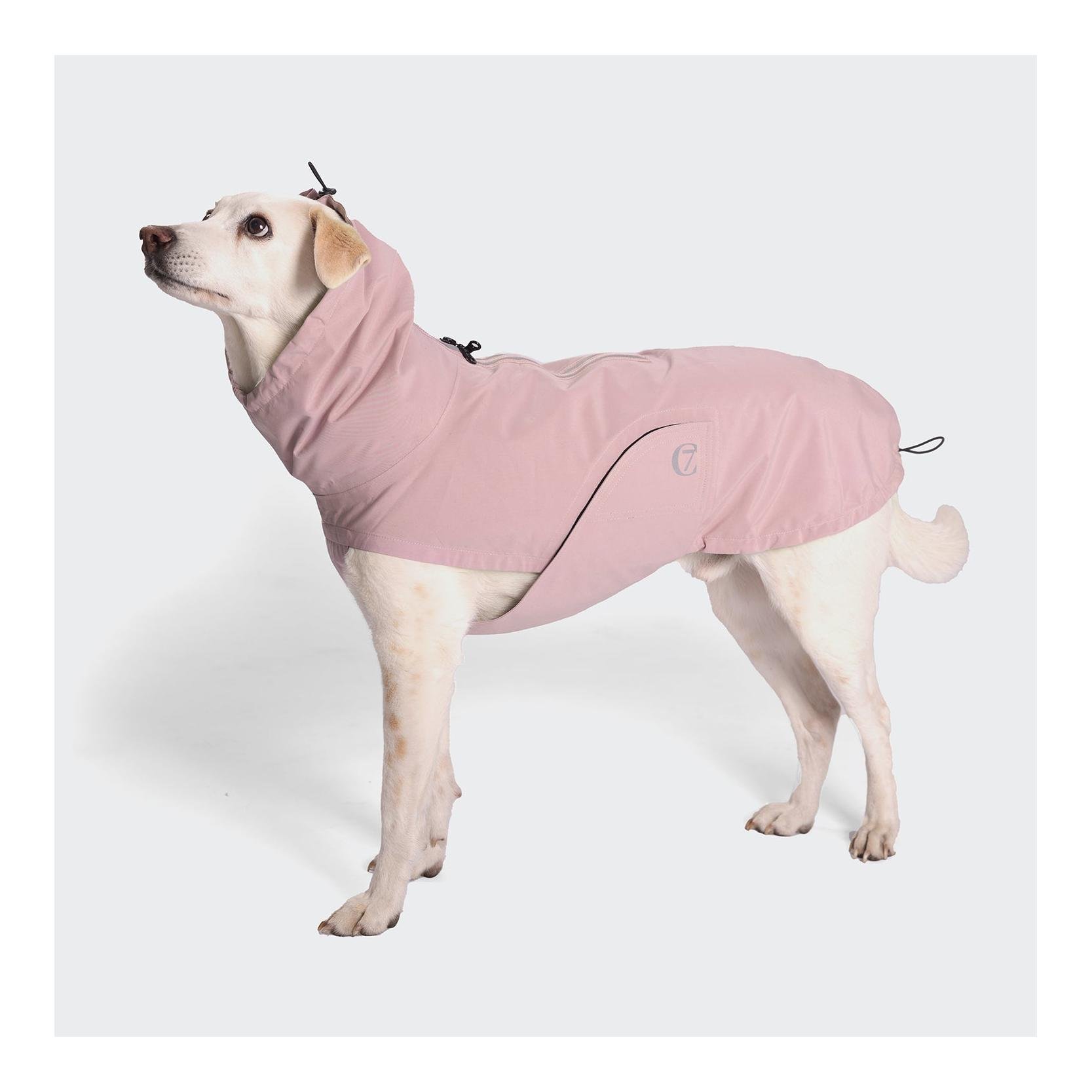 Imperméable pour chiens Dublin