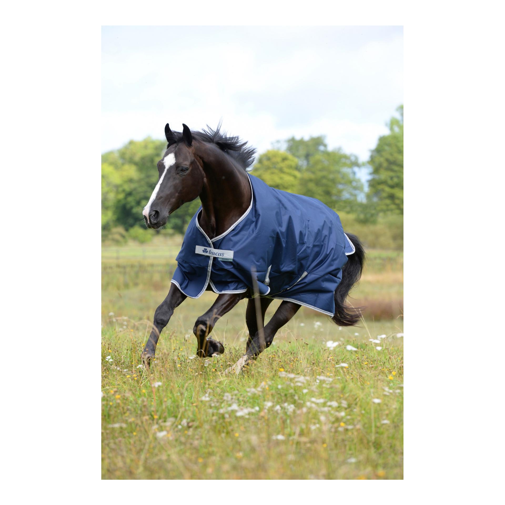 Couverture d'hiver FREEDOM Turnout 150g - bleu marine/argent