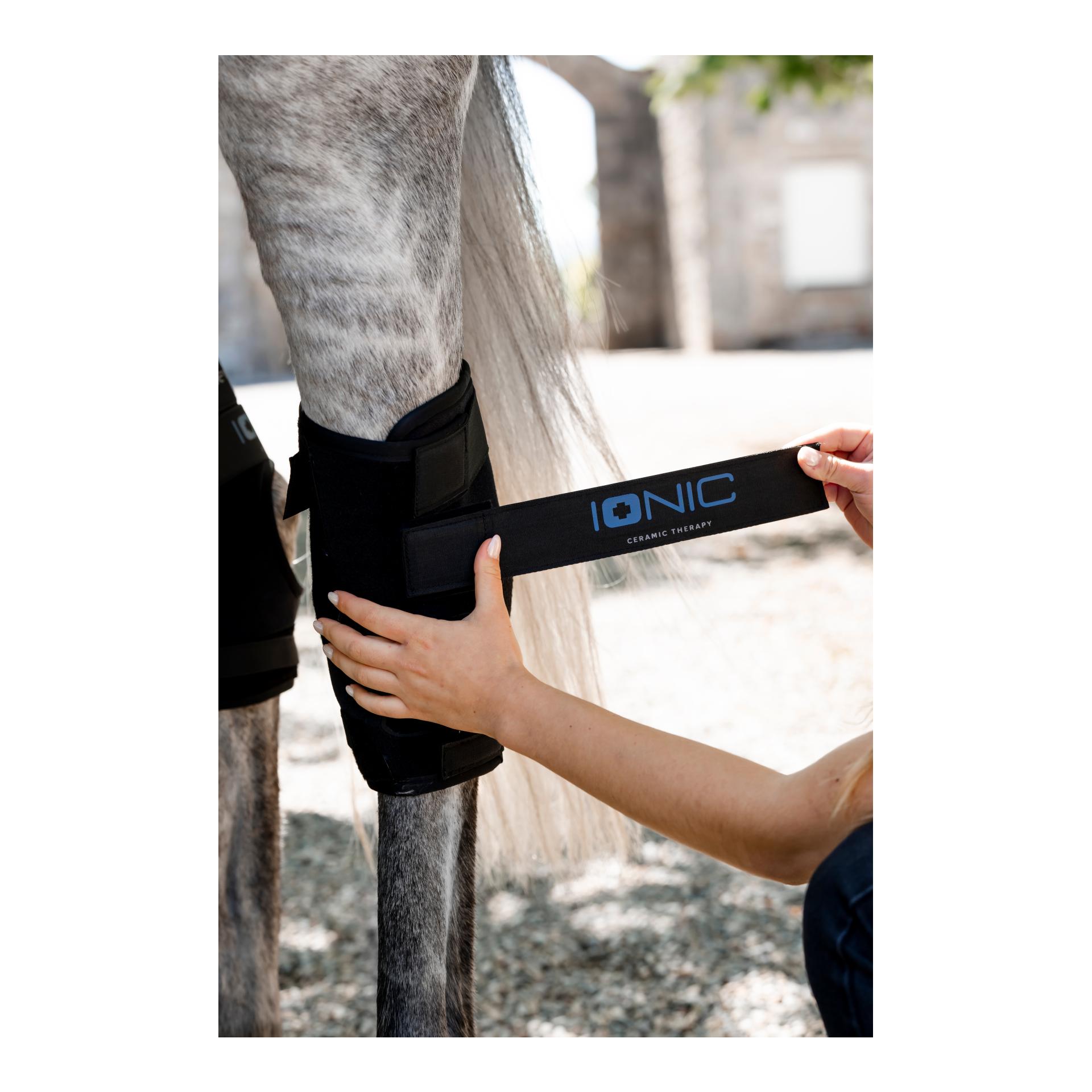 Horseware Ionic Hock Boots - set of 2