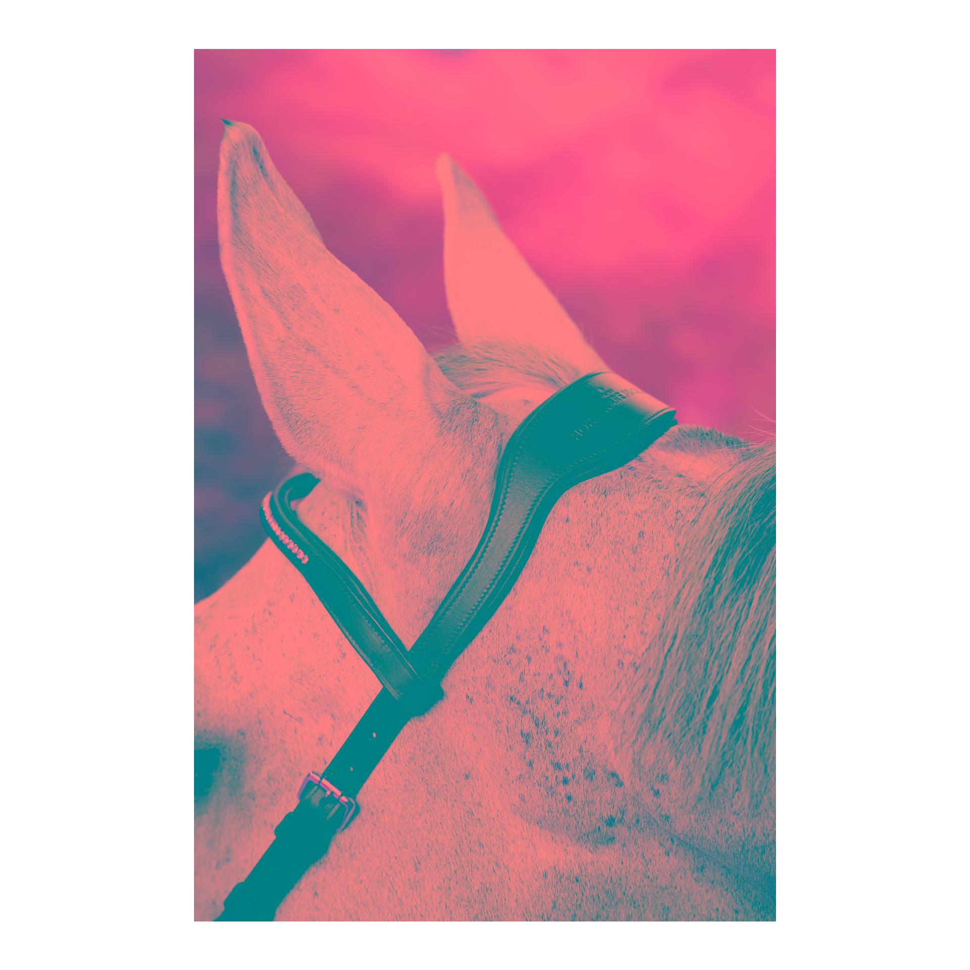 Horseware Bridon de compétition Micklem Diamante