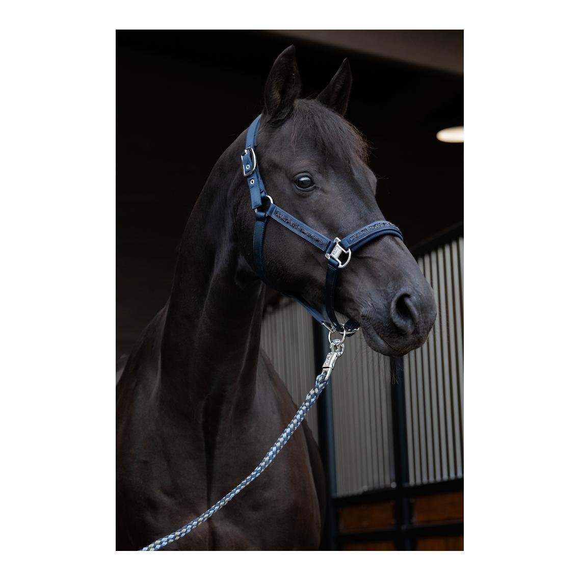 Halfter MATTGLOSS JEWEL DOUBLE PIN Classic Sports 25 Halfter MATTGLOSS JEWEL DOUBLE PIN Classic Sports 25
