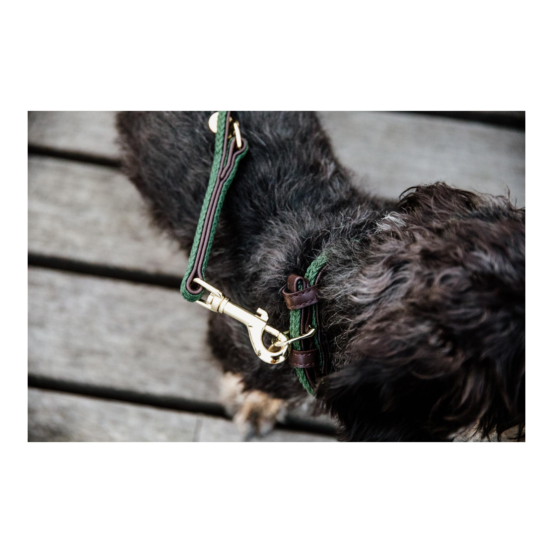 Hundehalsband Nylon geflochten - olive green Hundehalsband Nylon geflochten - olive green
