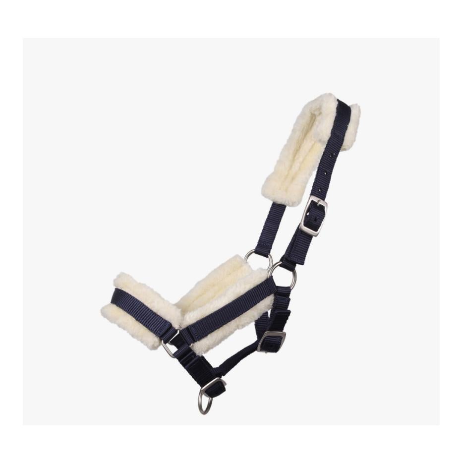 QHP Licol pour poulain avec fourrure – bleu marine