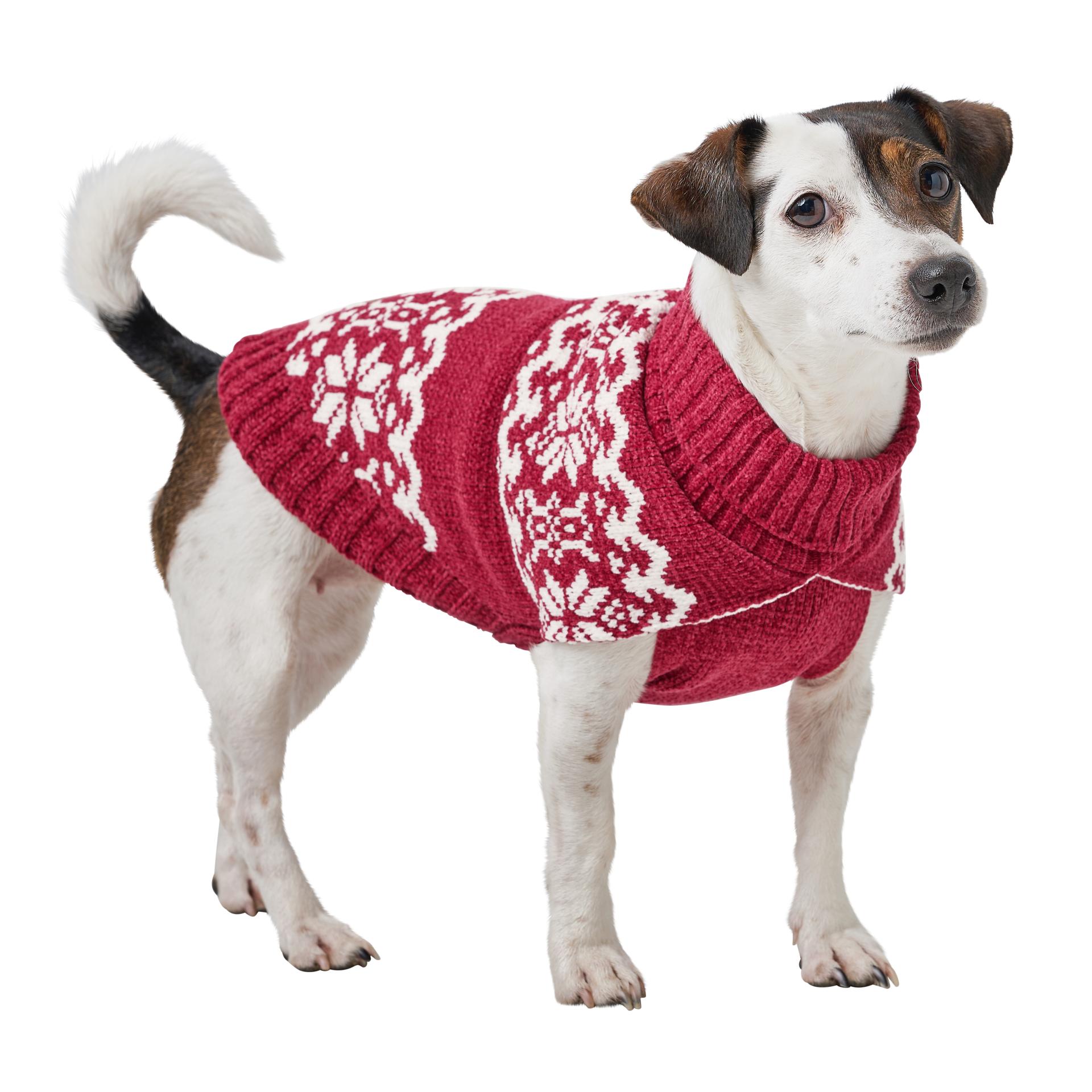 Hunter Pull pour chien Birka