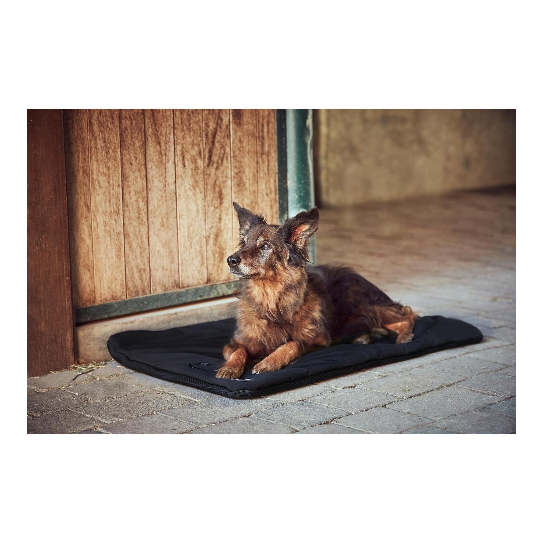 Catago Hundekissen beheizt FIR-Tech Pro