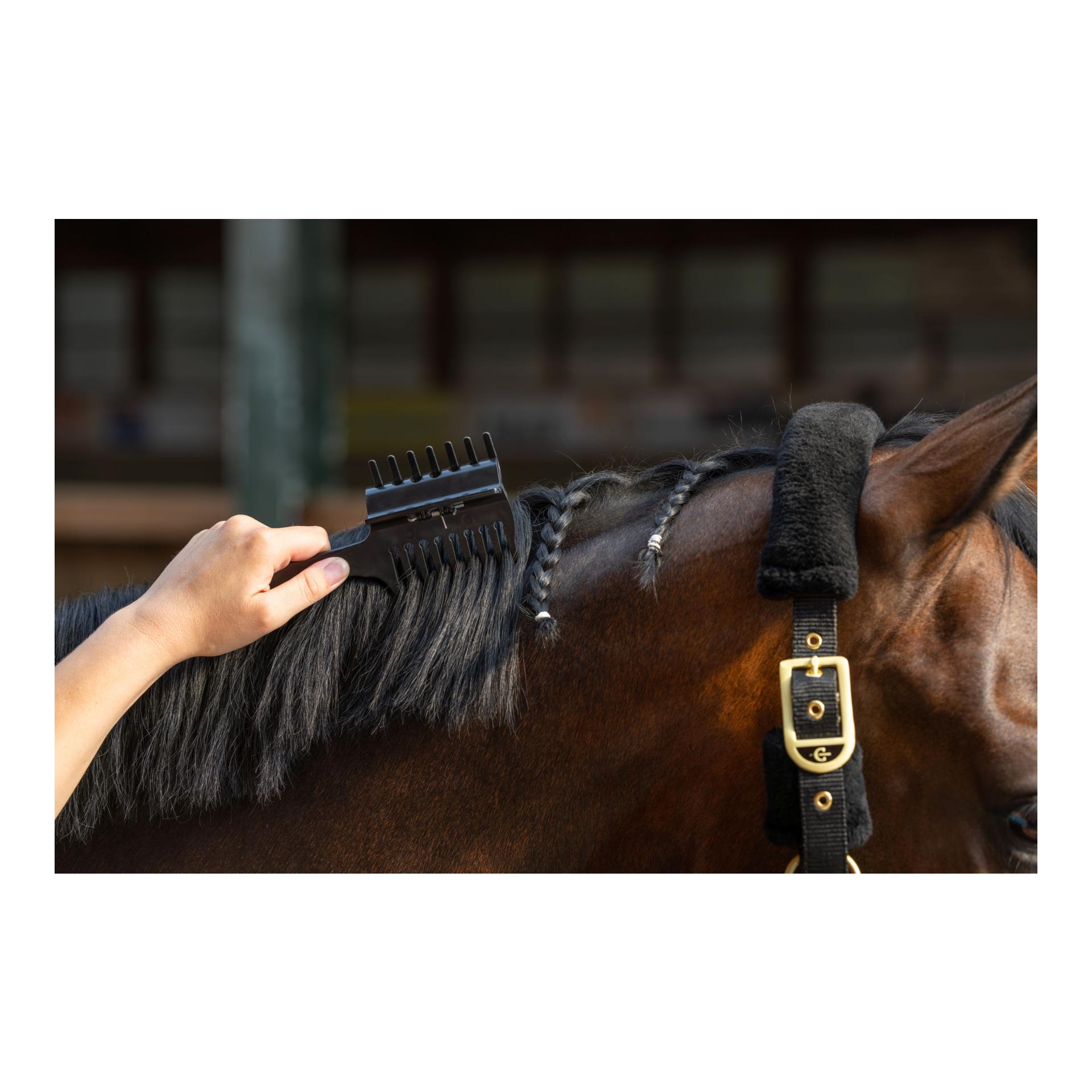 Kerbl Mähnenkamm Competition - schwarz