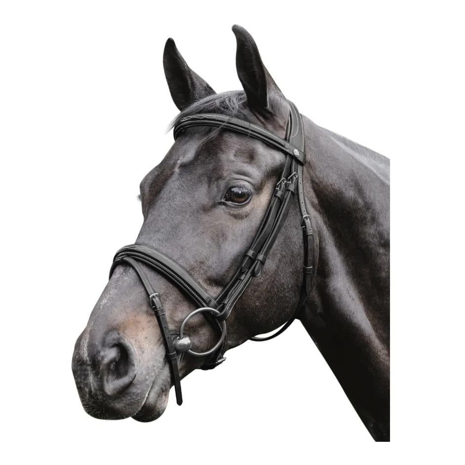 Trensenzaum Bombiert mit Dekor - schwarz