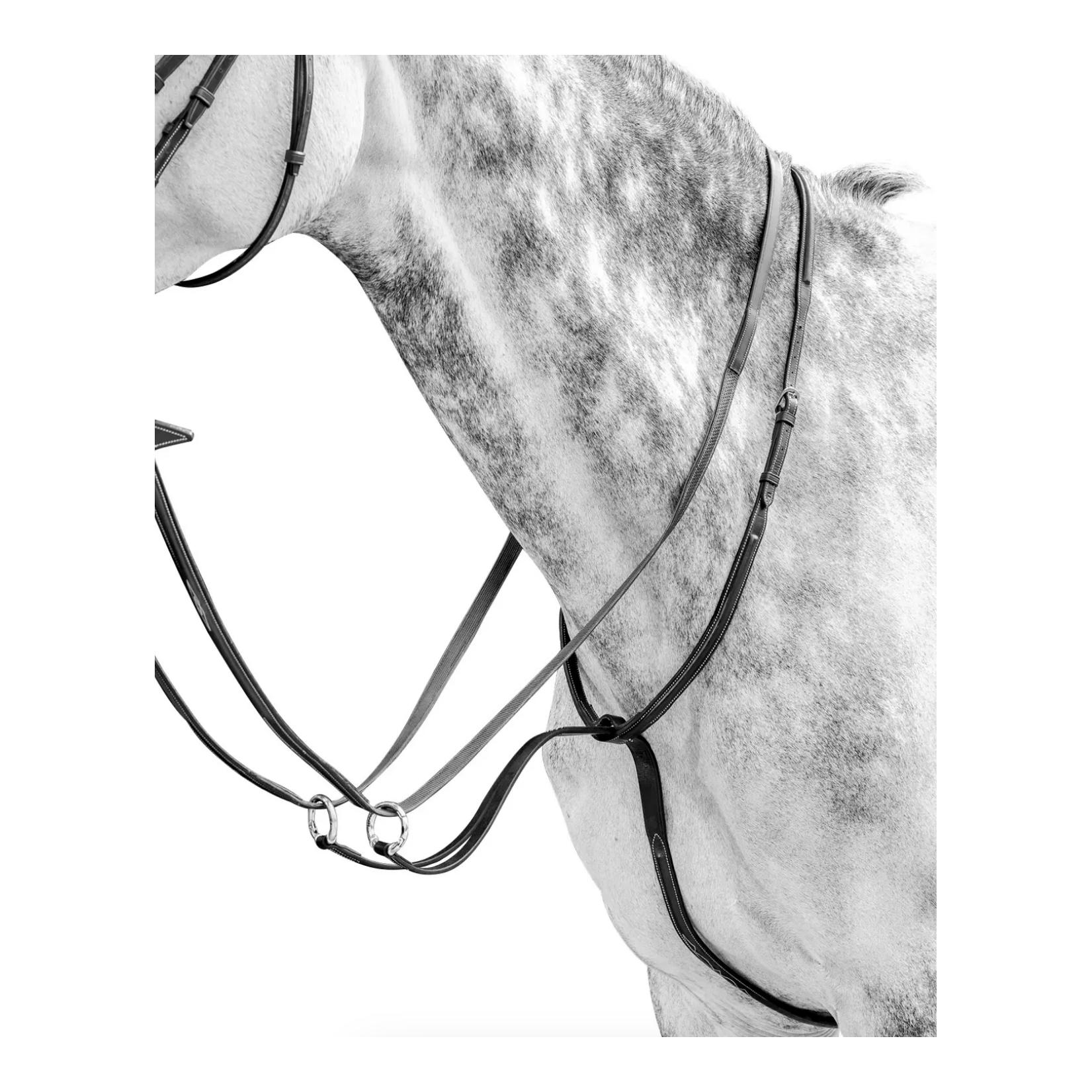 gleitendes Martingal Bombiert