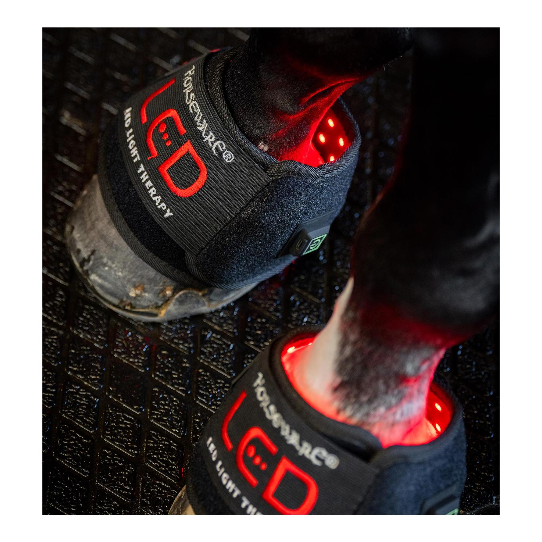 Horseware Thérapie par lumière rouge LED – Mini-jambière