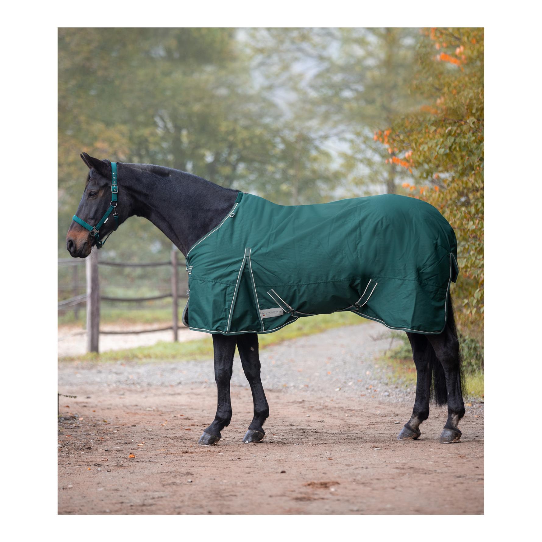 Outdoordecke Economic 200g