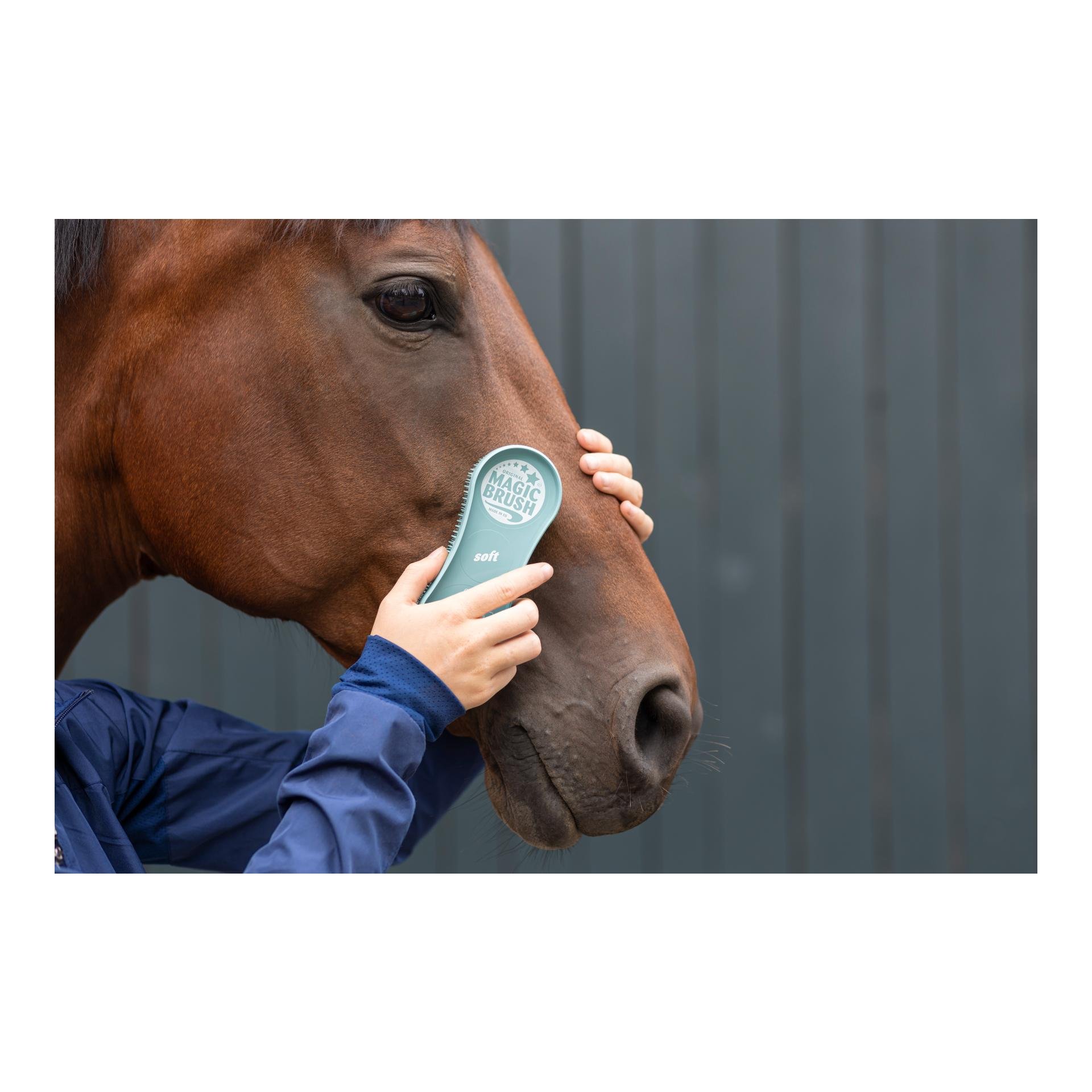 Zauberbürste Soft