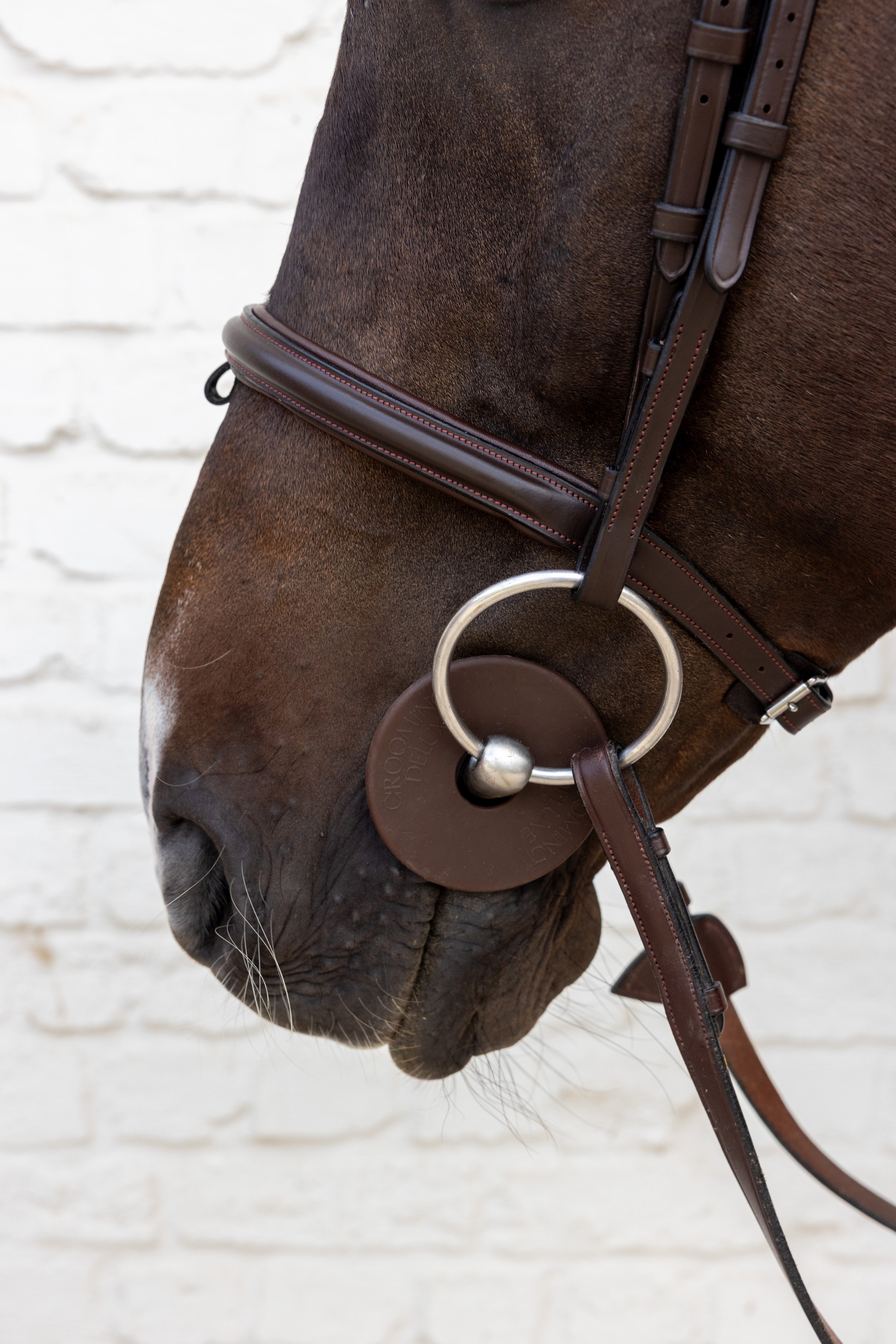 Silikon-Gebissscheiben