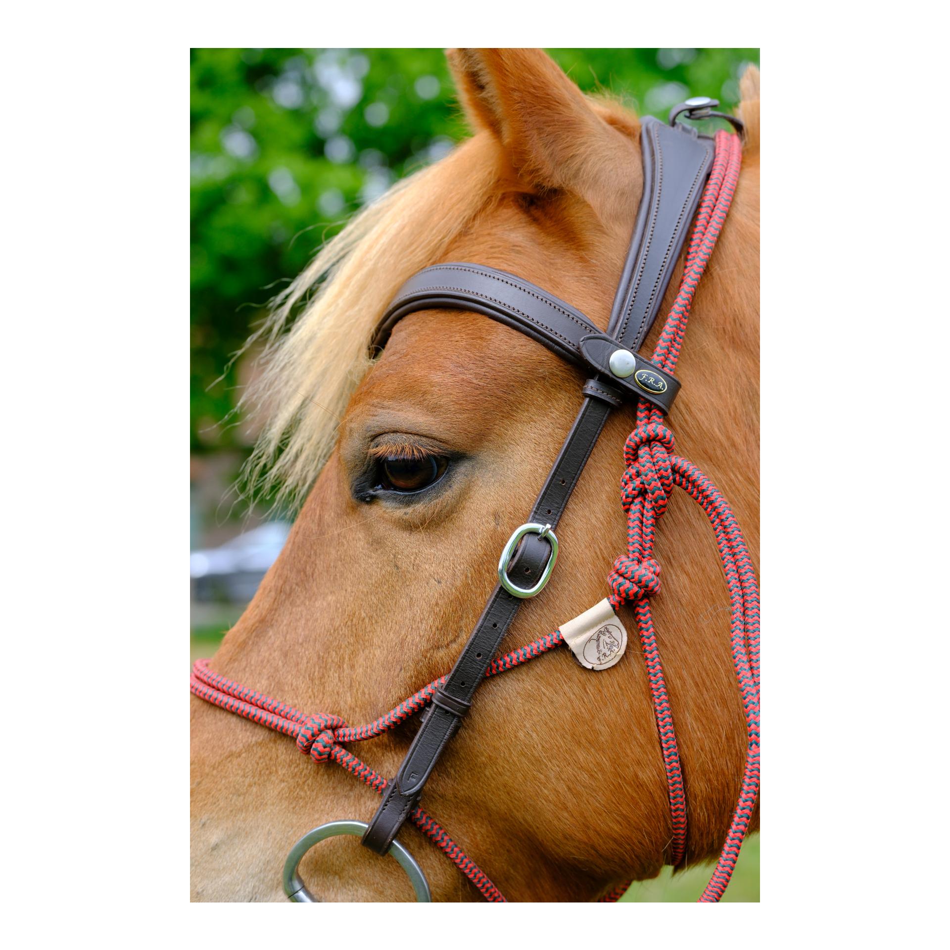 F.R.A Campari Kombitrense