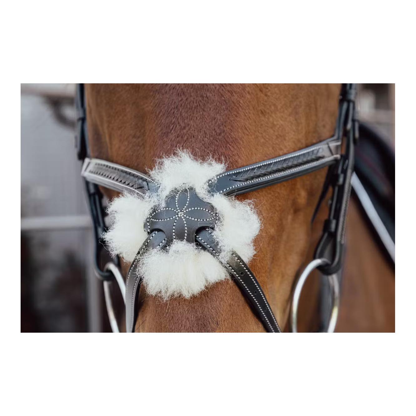 Plaited Figure 8 Noseband D Collection Plaited Figure 8 Noseband D Collection