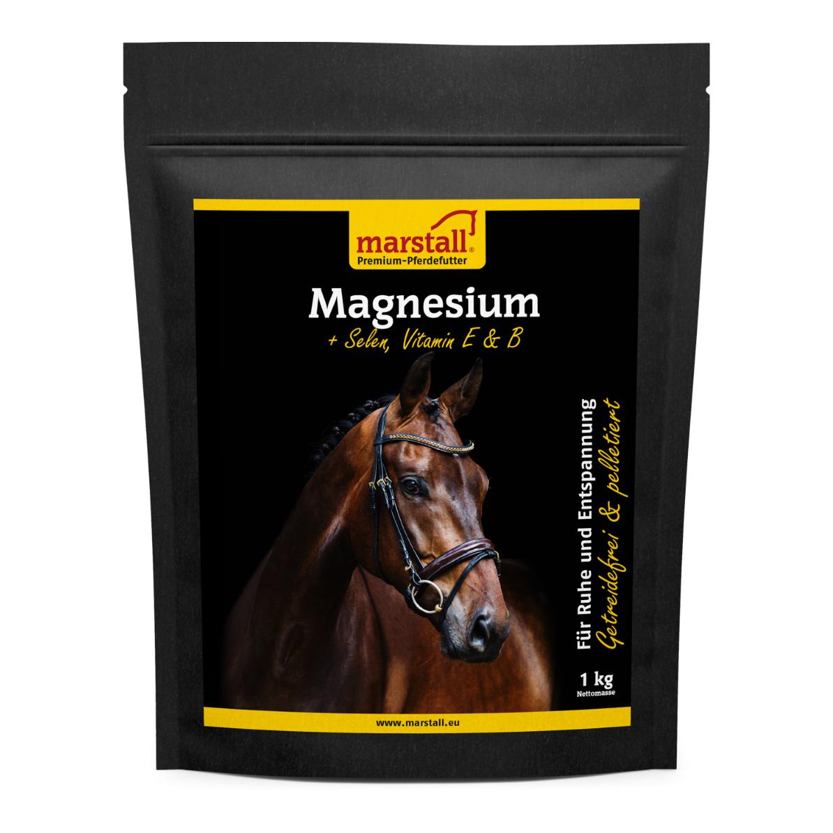 Magnesium, pelletiert Magnesium, pelletiert
