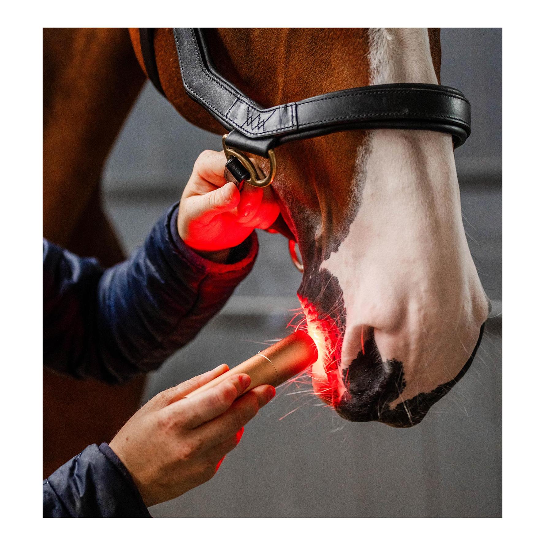 Horseware Bâton thérapeutique LED Thérapie par lumière rouge LED