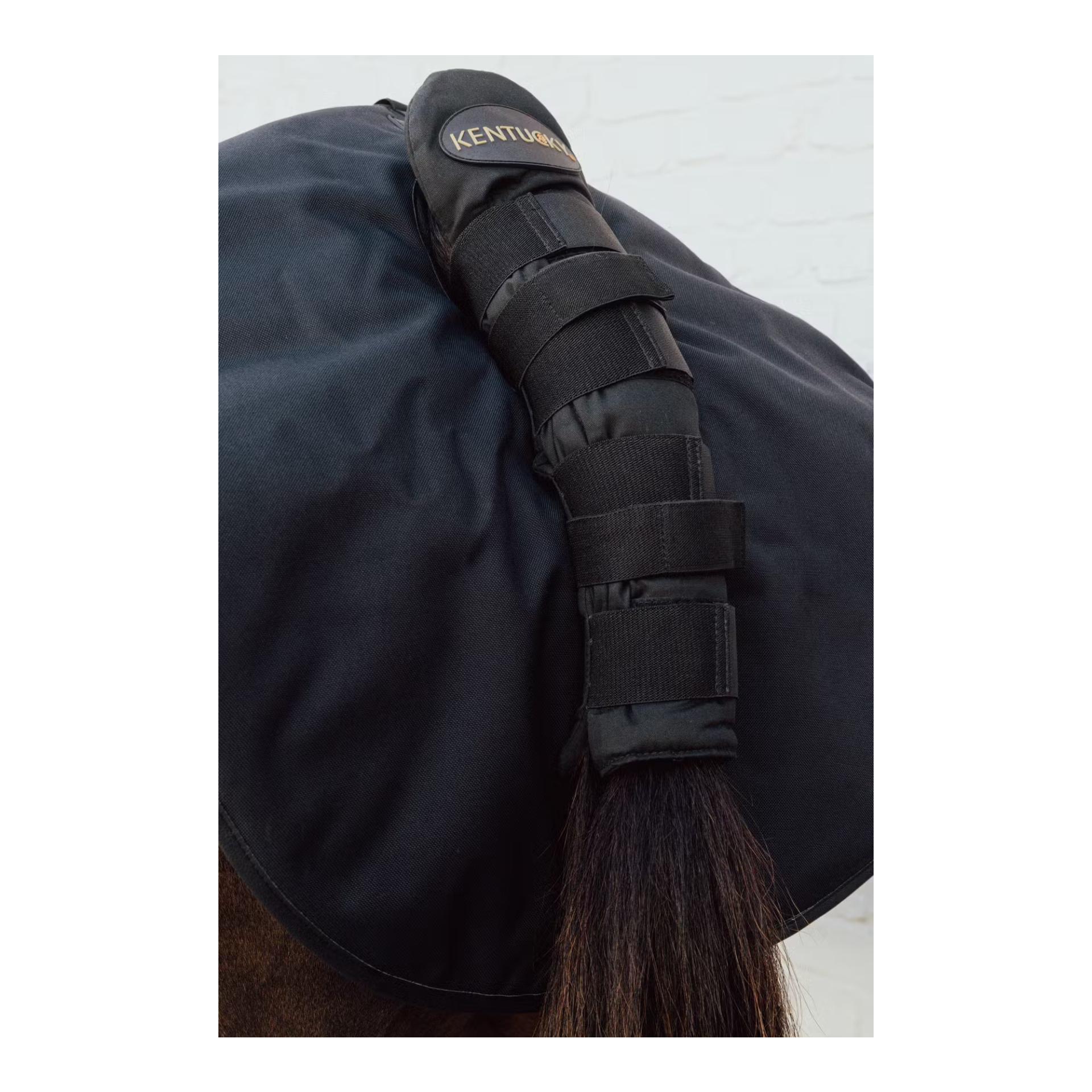 Kentucky Hinterhand Schutz