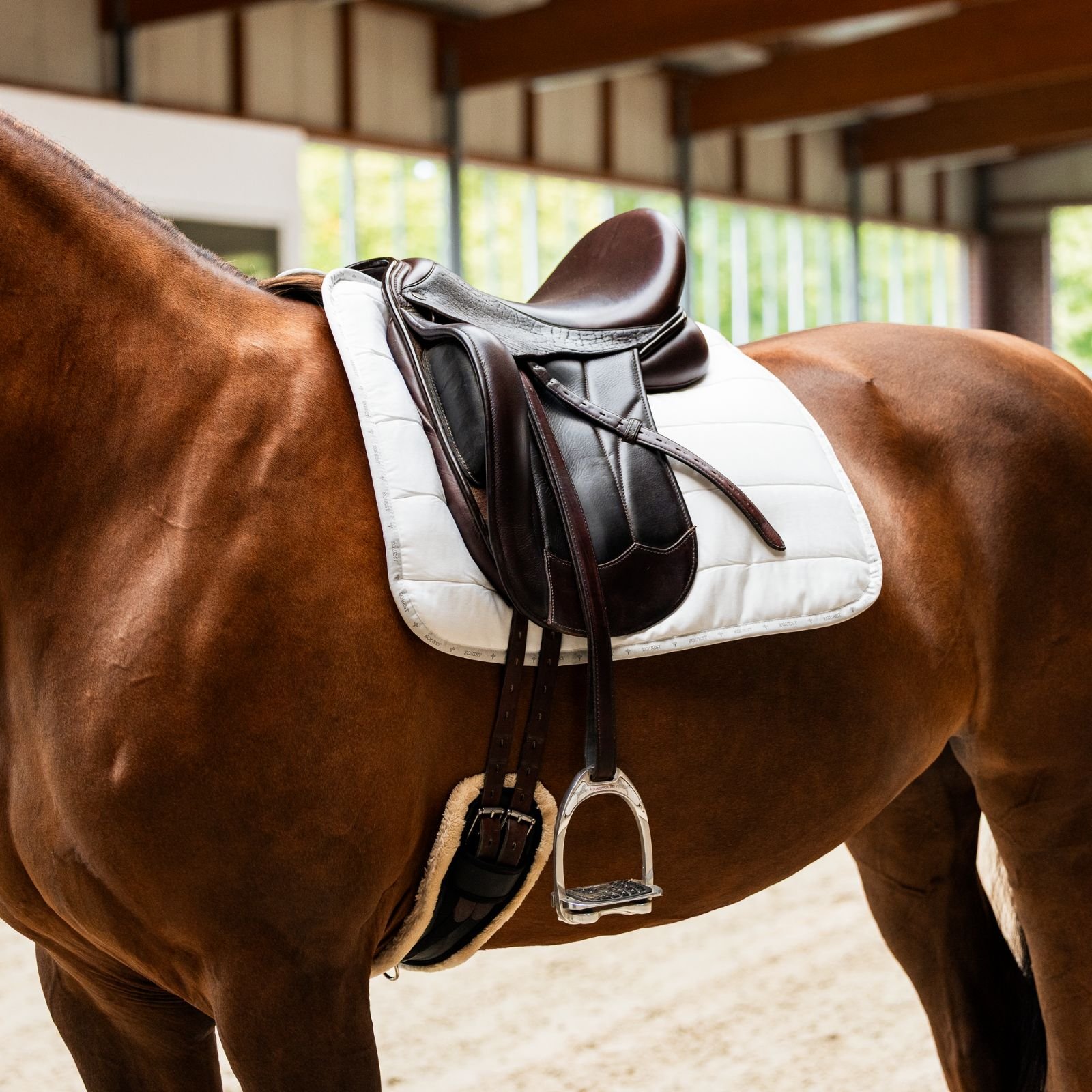 EQuest Equest Move Pad