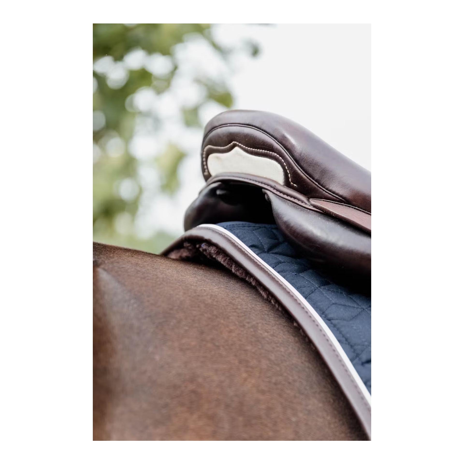 Kentucky Skin Friendly Schabracke