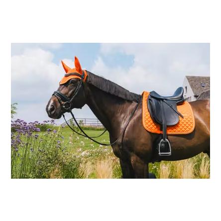 Kentucky Fliegenhaube Wellington diamond rope