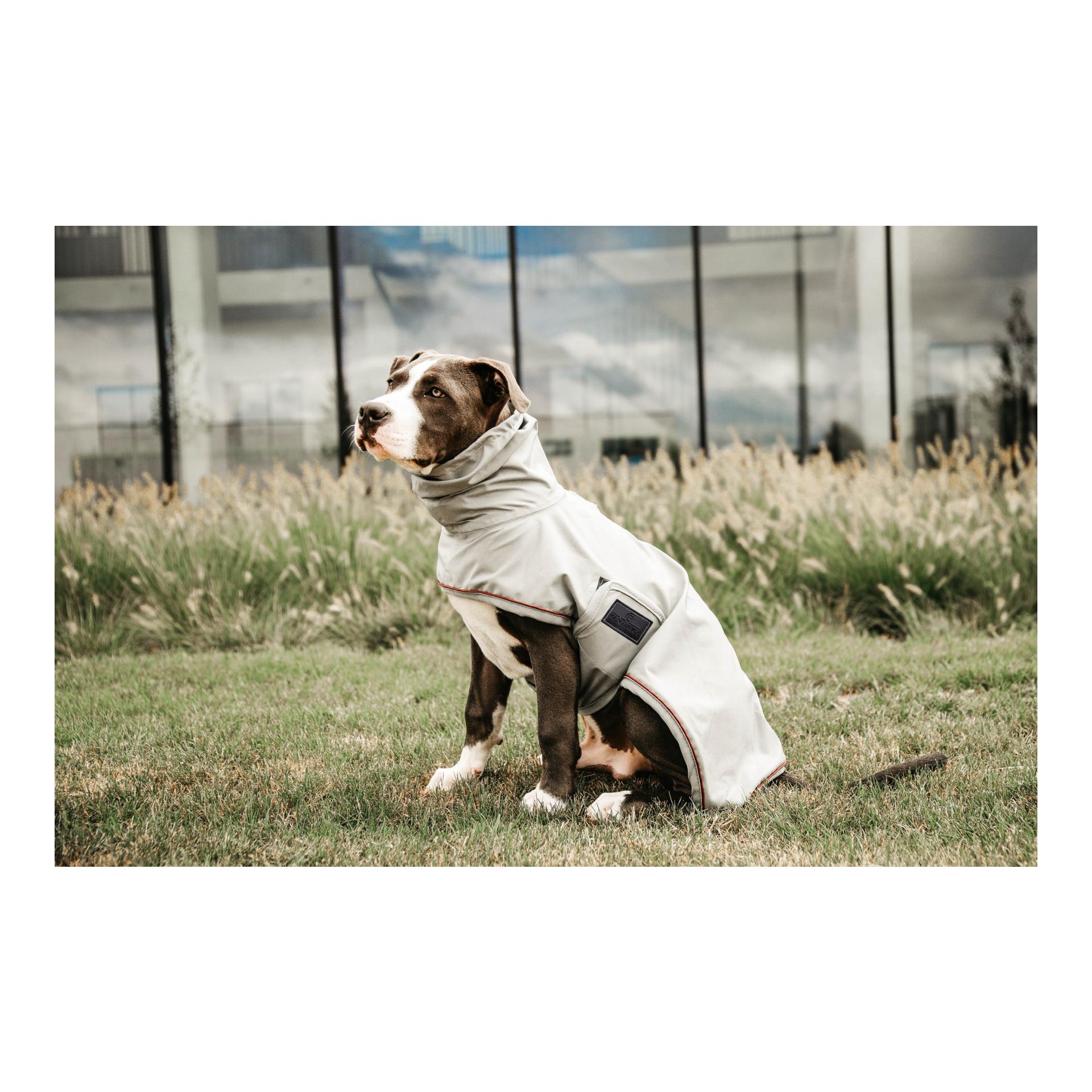 Hunde Regenjacke Hunde Regenjacke
