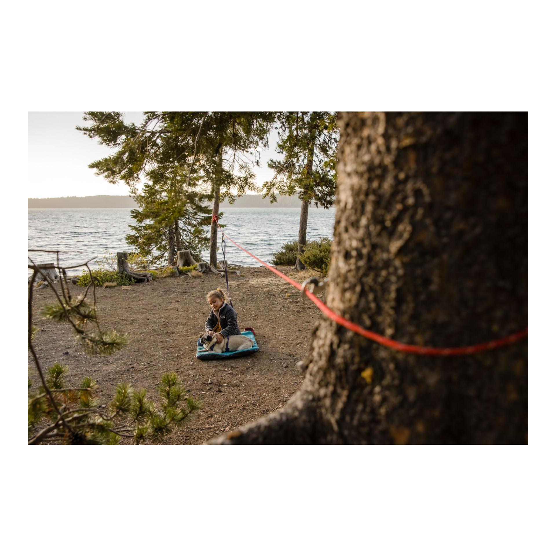 Knot-a-Hitch™ Hunde-Anleinsystem Knot-a-Hitch™ Hunde-Anleinsystem