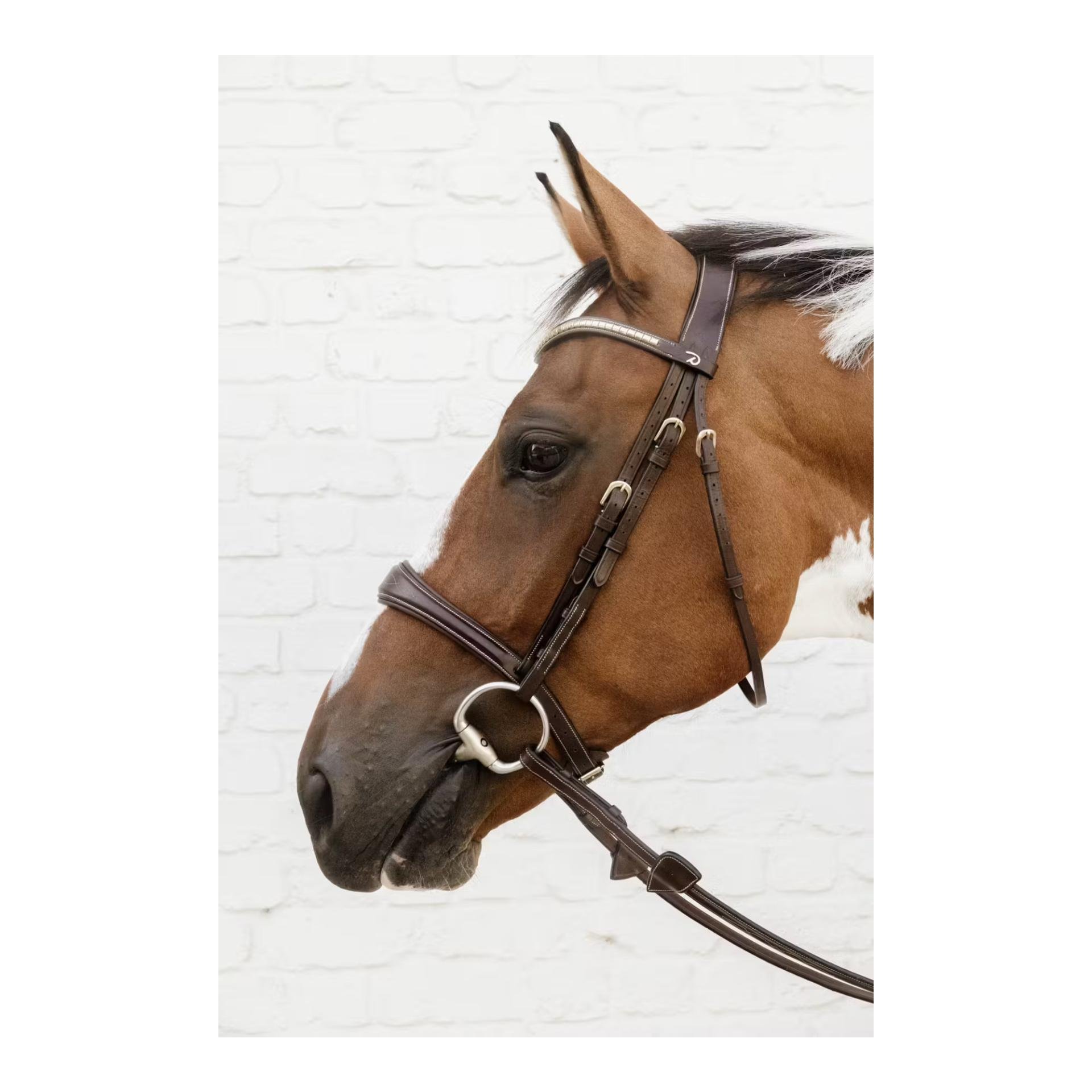 Anatomic noseband without flash D Collection Anatomic noseband without flash D Collection