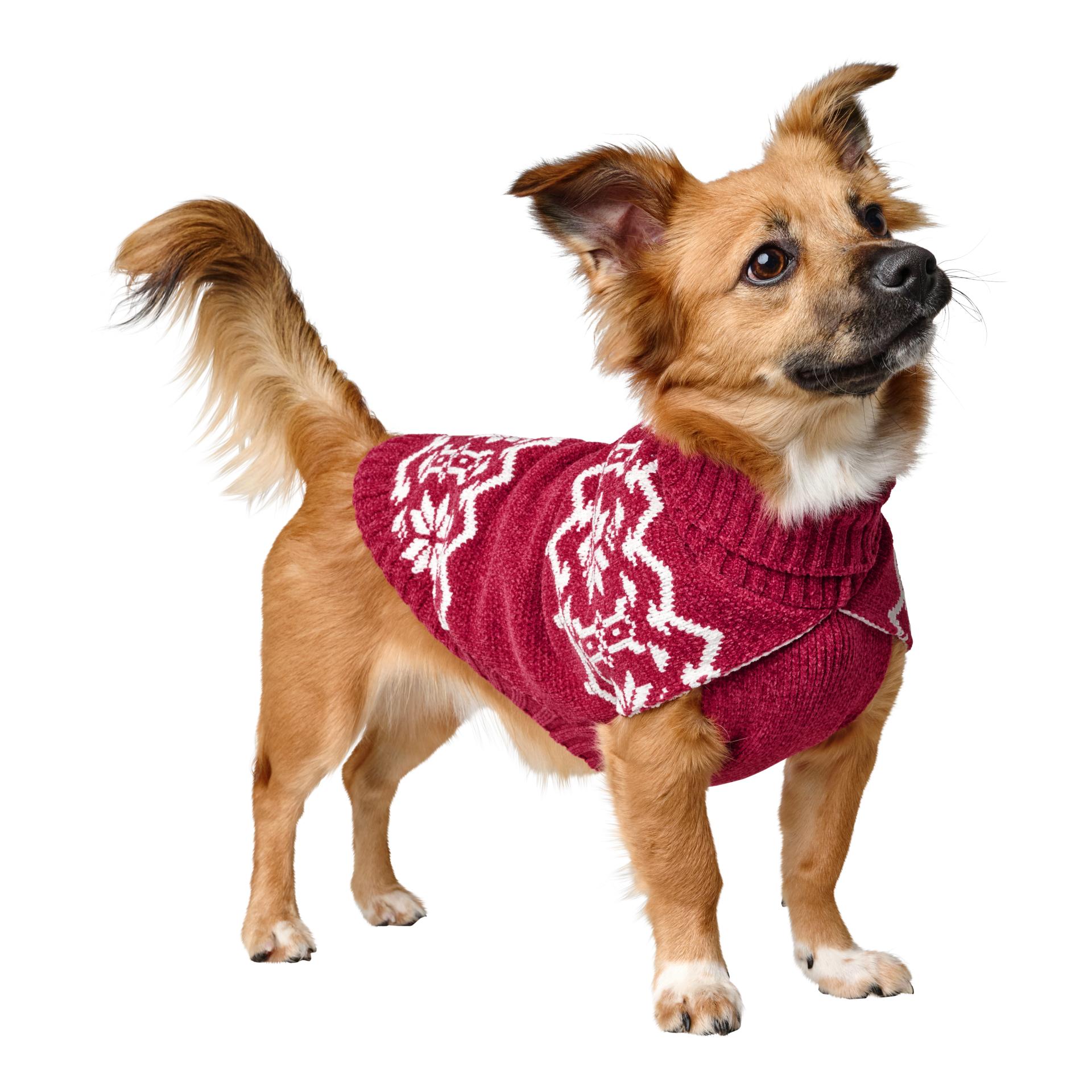 Hunter Pull pour chien Birka