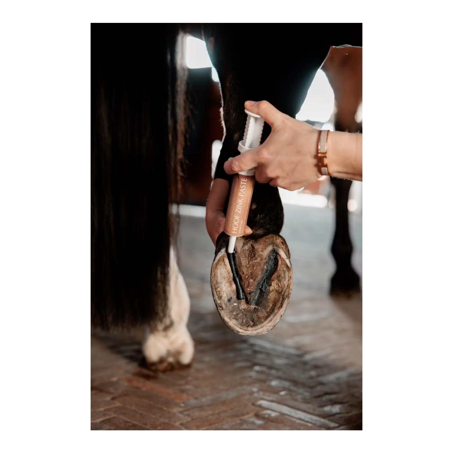 GD Equi Hoof Zinkpaste GD Equi Hoof Zinkpaste