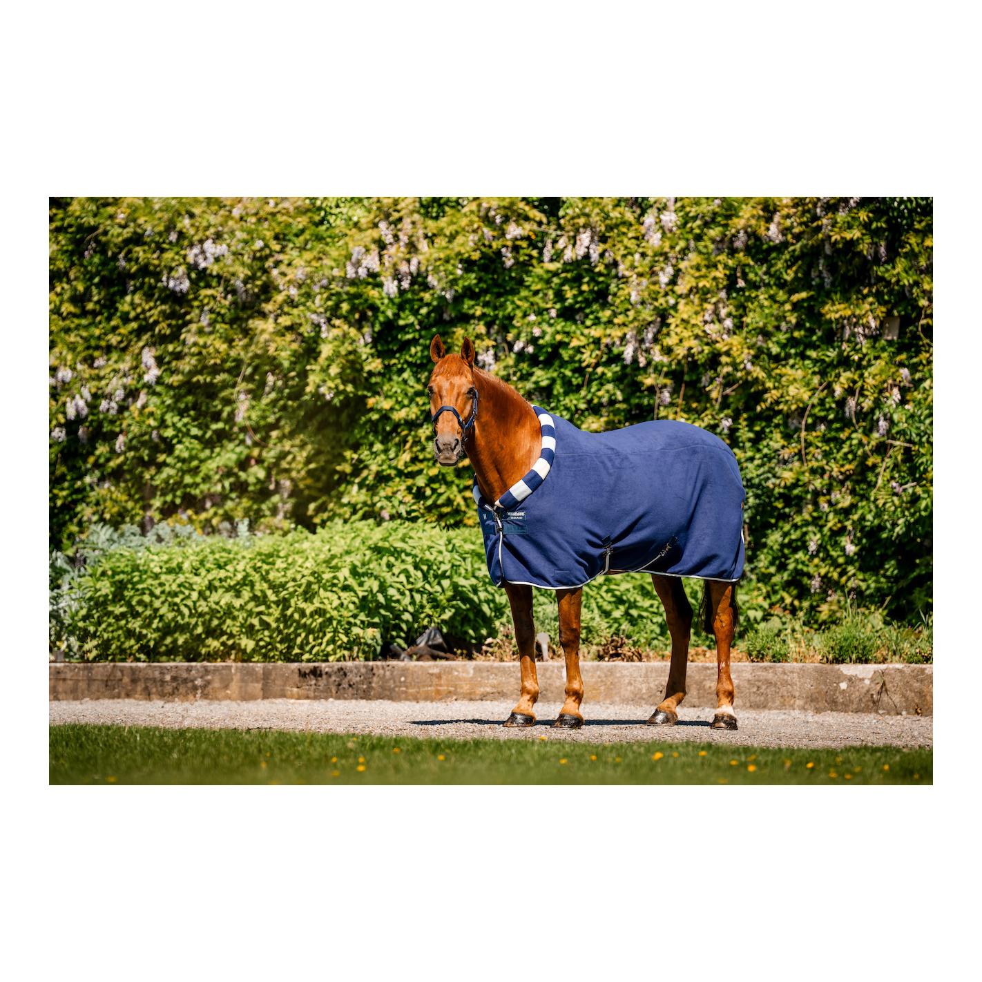 Abschwitzdecke Cosy Cooler Newmarket