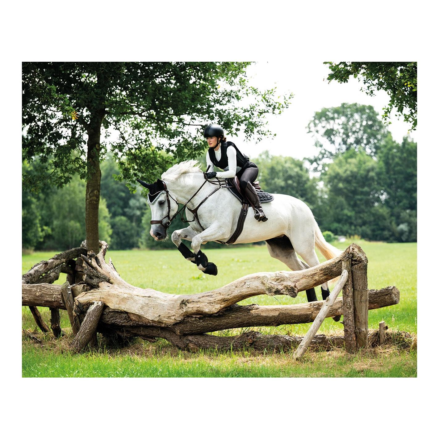 QHP Reithelm Dallas-XC