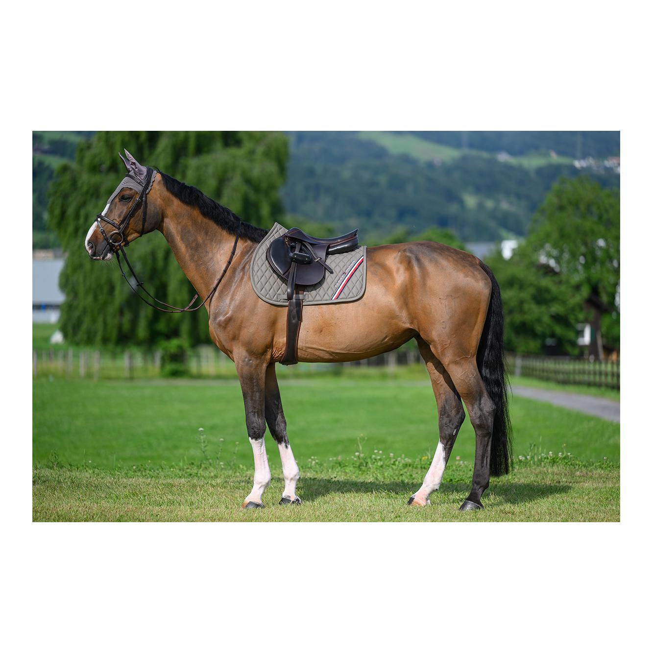 Tommy Hilfiger Equestrian Schabracke Springen Stanford 