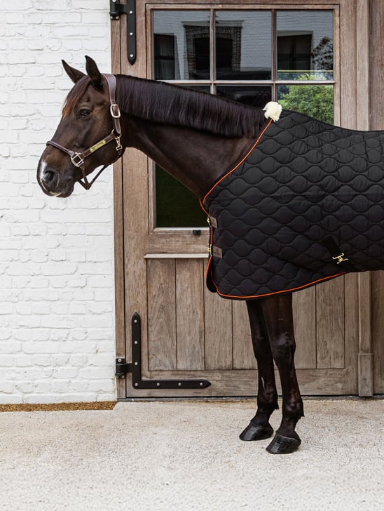 RS-548x728-2x-startpage-Kentucky