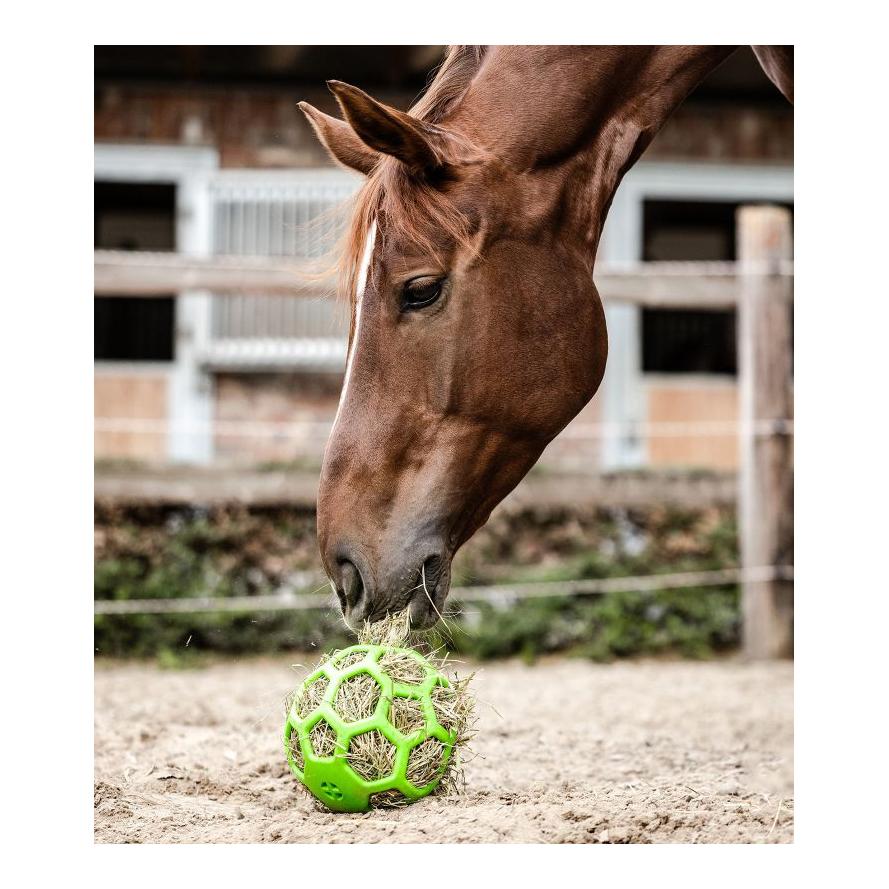 Heuball Heuball