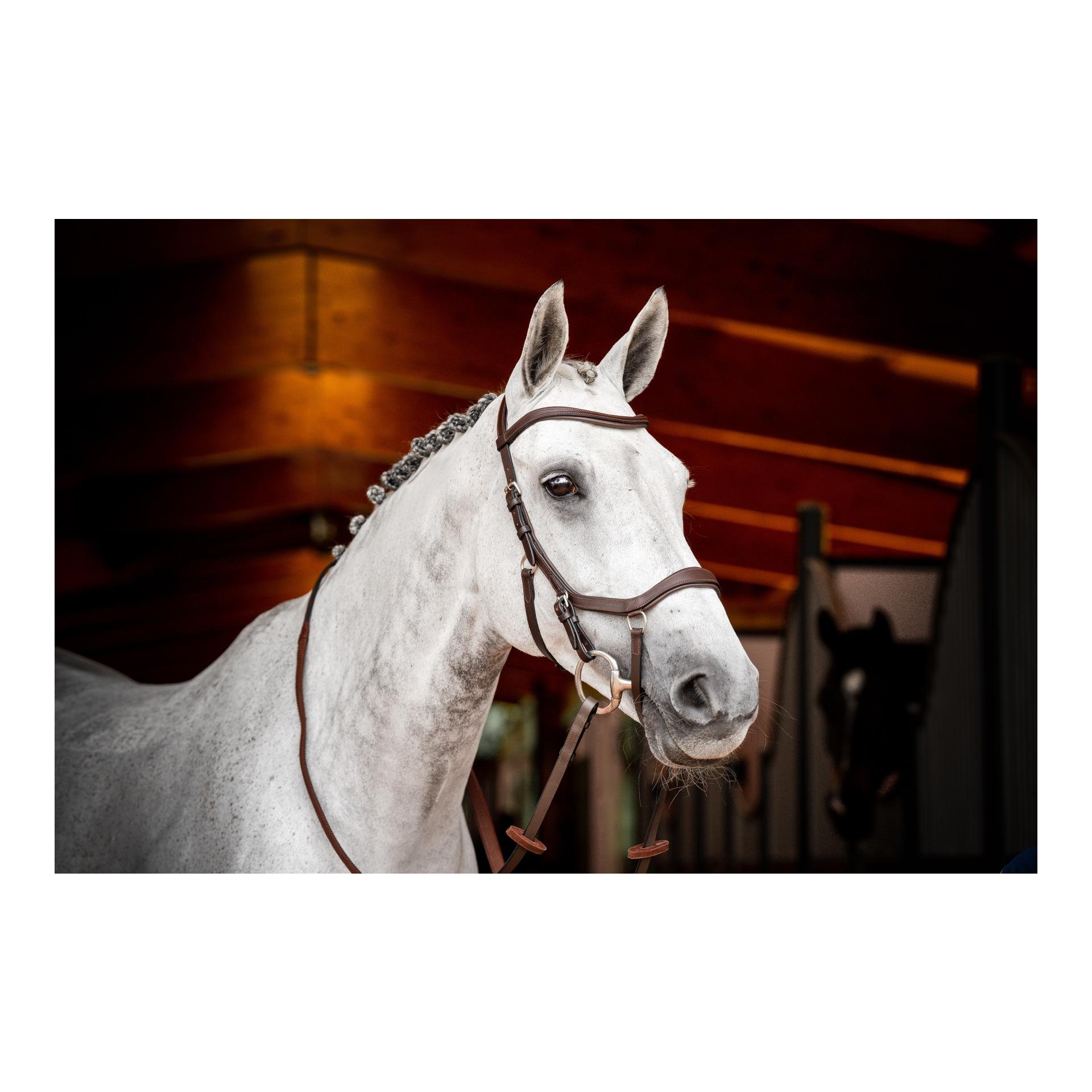 Zaum Micklem3 Competiton ohne Zügel