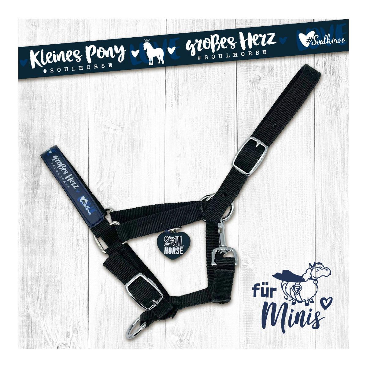 Halfter Shetty & Mini-Shetty