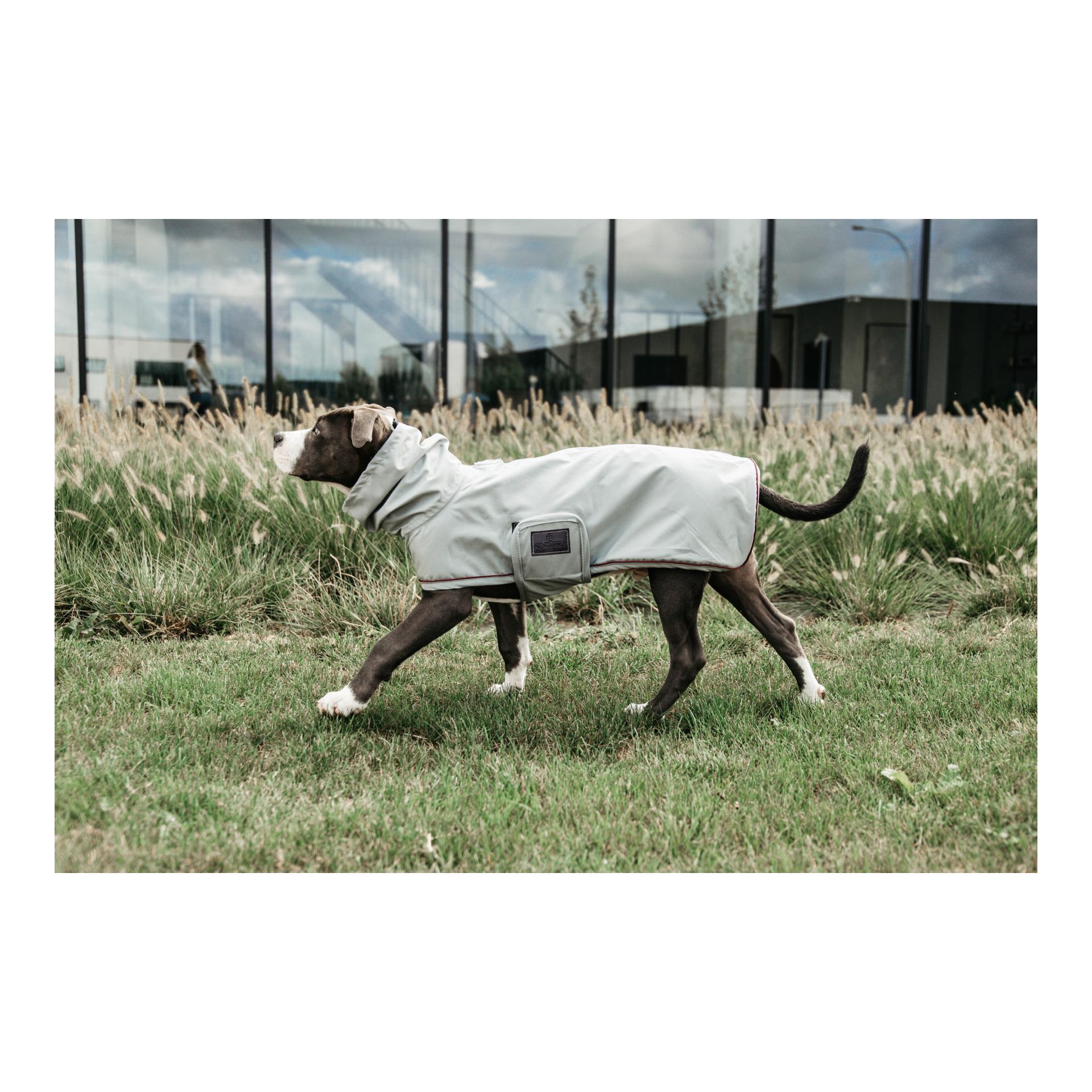 Hunde Regenjacke Hunde Regenjacke