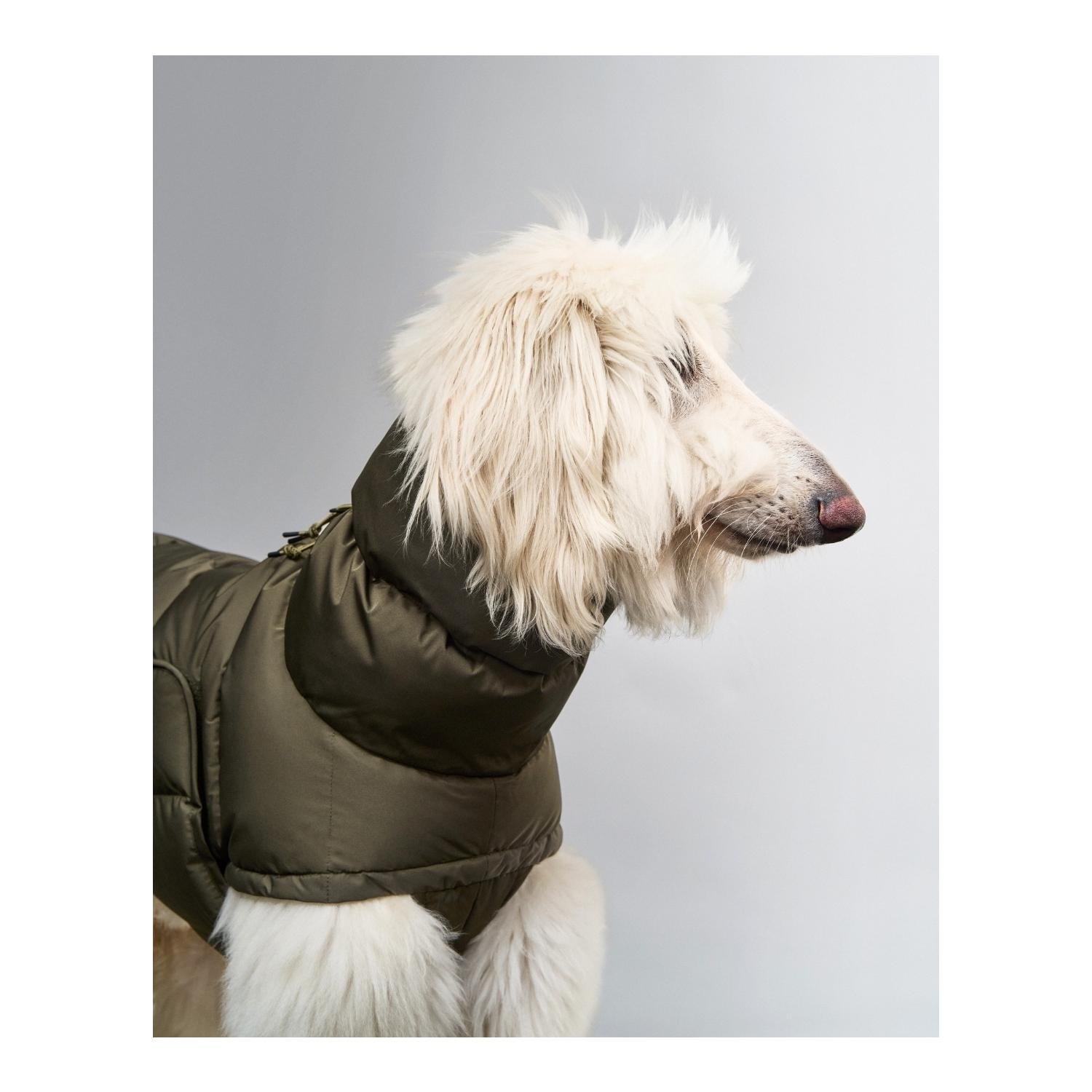 Winter Hundemantel Alaska Regular