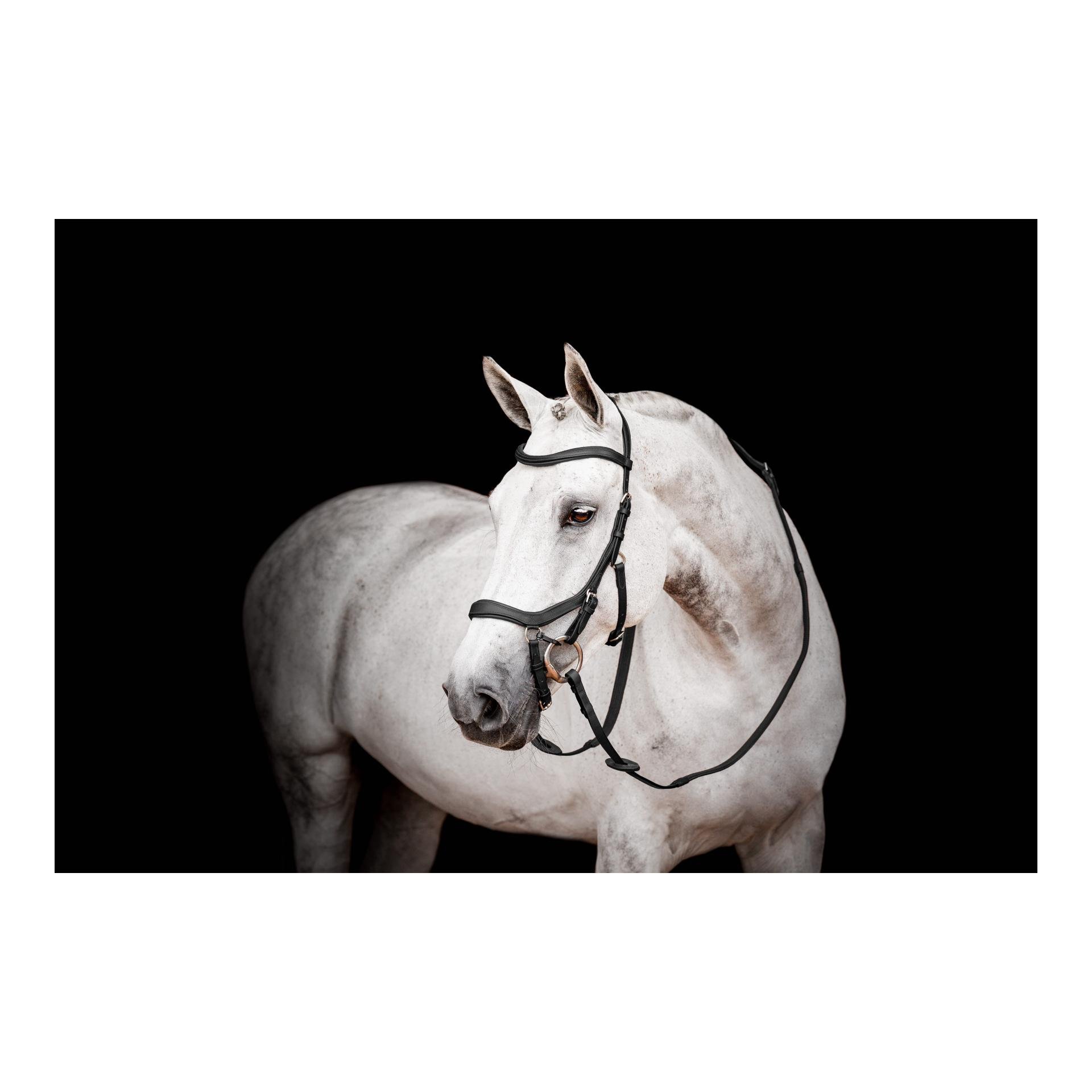 Zaum Micklem2 Competiton inkl. Zügel - schwarz