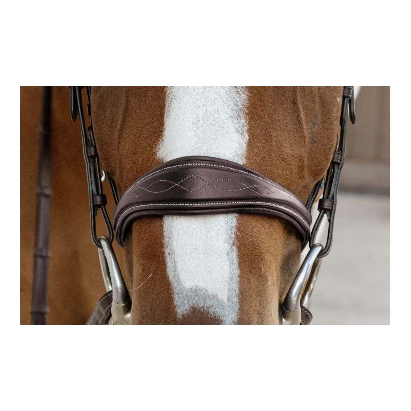 Anatomic noseband without flash D Collection Anatomic noseband without flash D Collection