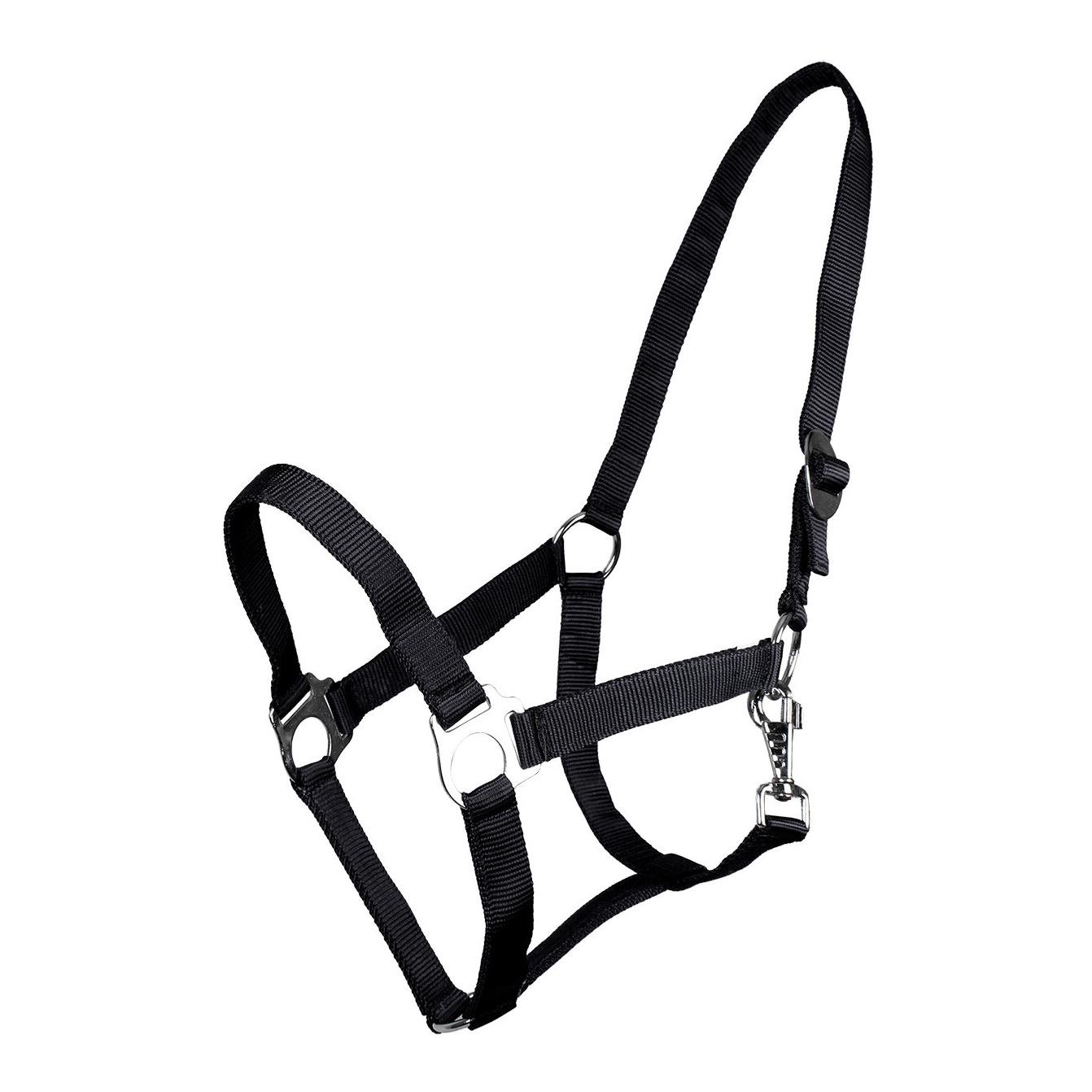 Licol en nylon avec boucle coulissante - noir