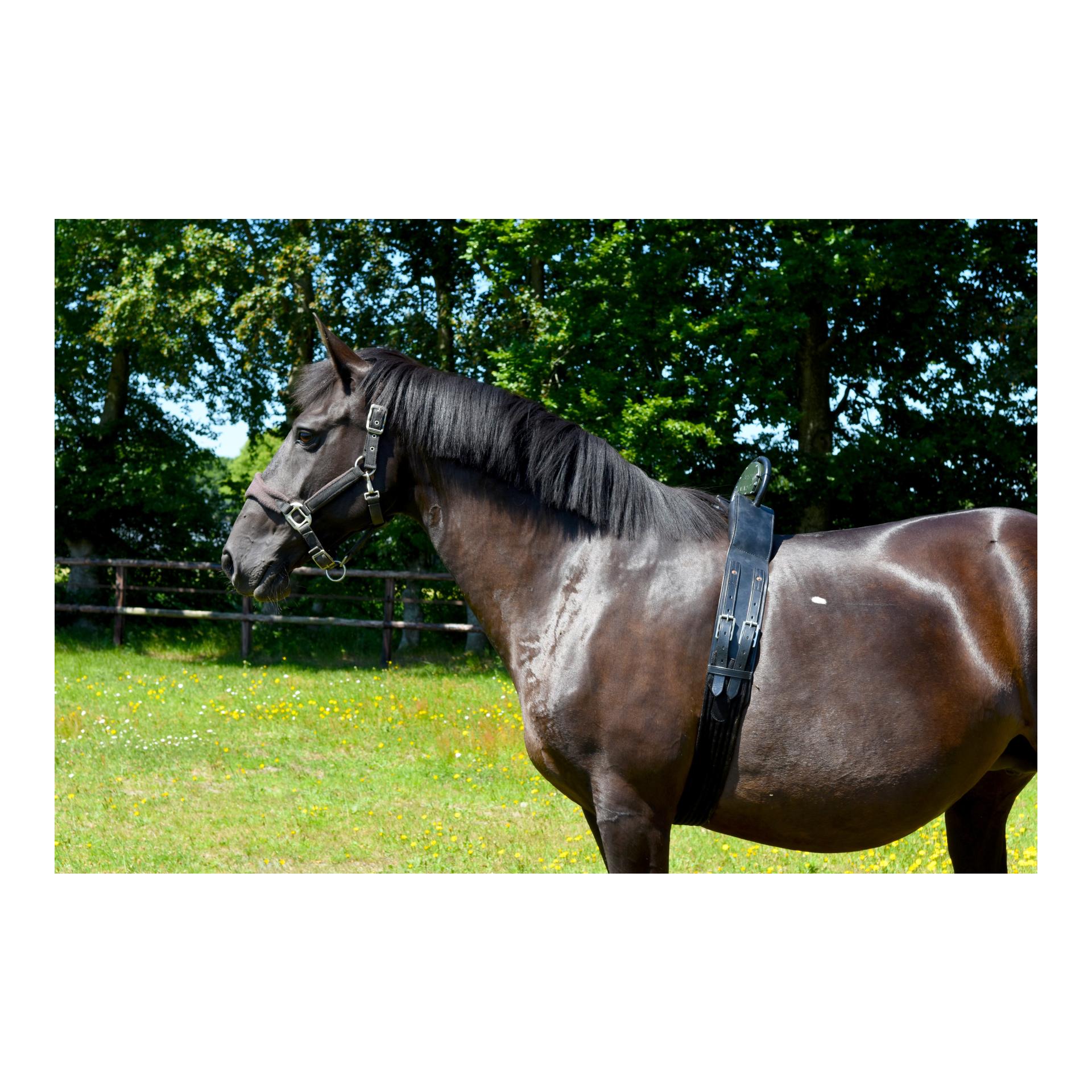 Birth Alarm Set - Birth Alarm Mobile 2.0 inkl. Überrollbügel